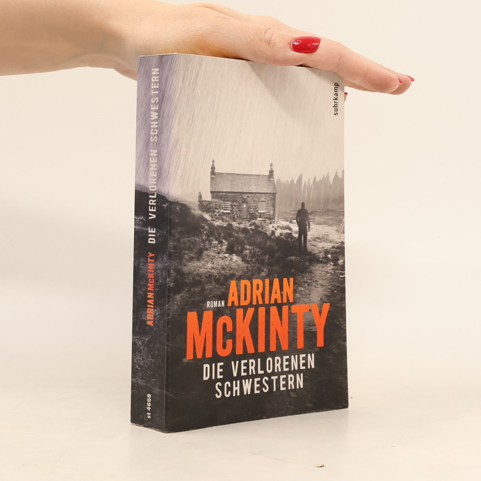 Adrian McKinty Die verlorenen Schwestern