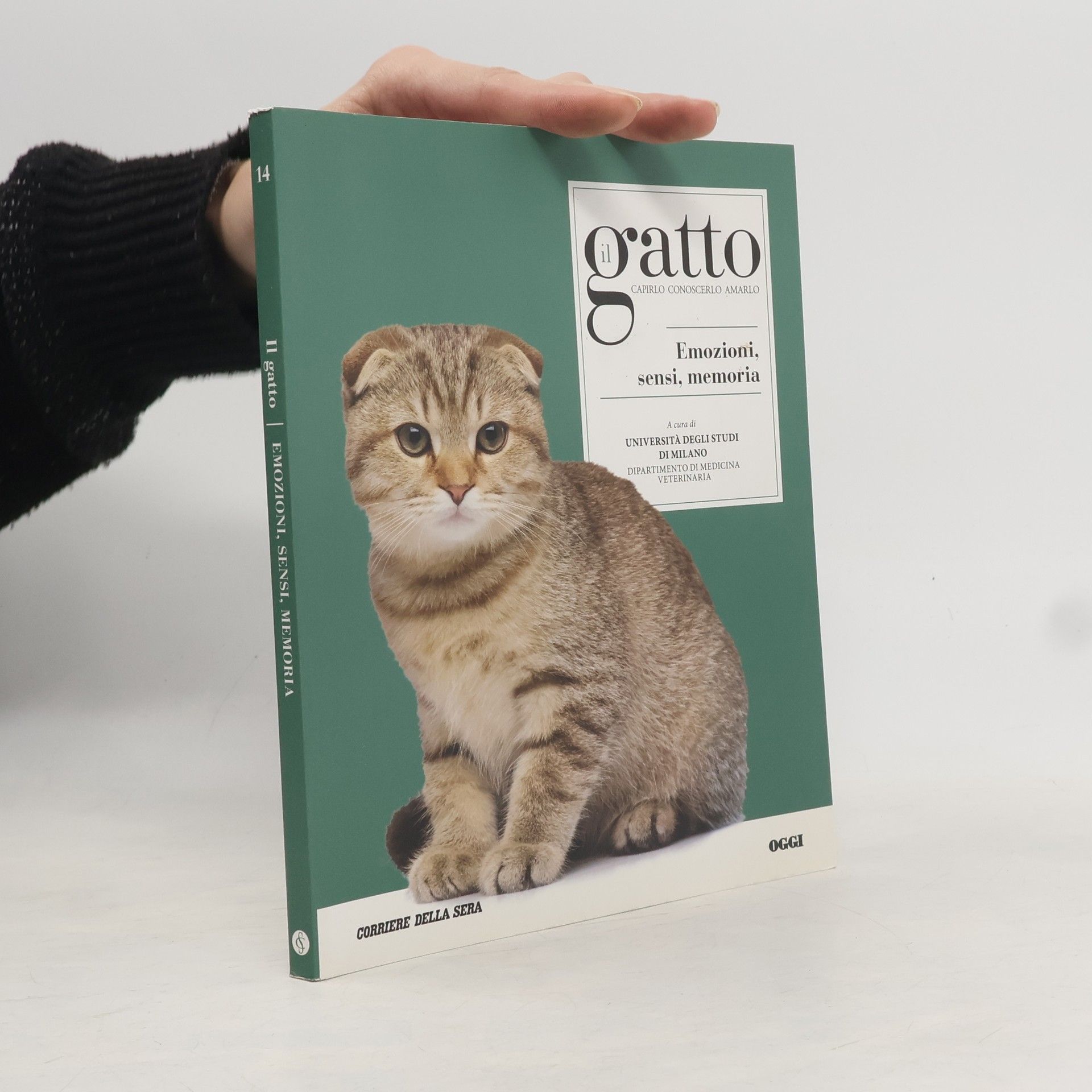 Auteurscollectief Il Gatto. Emozioni, sensi, memoria