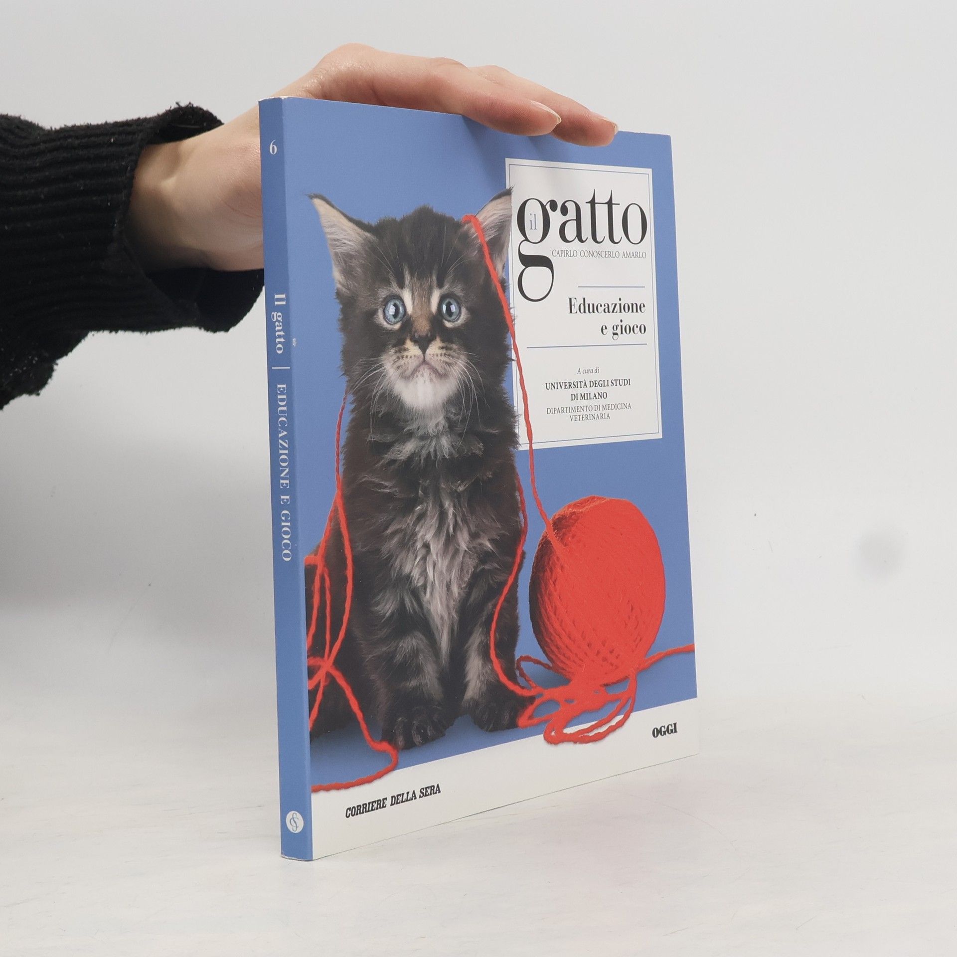 Auteurscollectief Il gatto: Educazione e gioco
