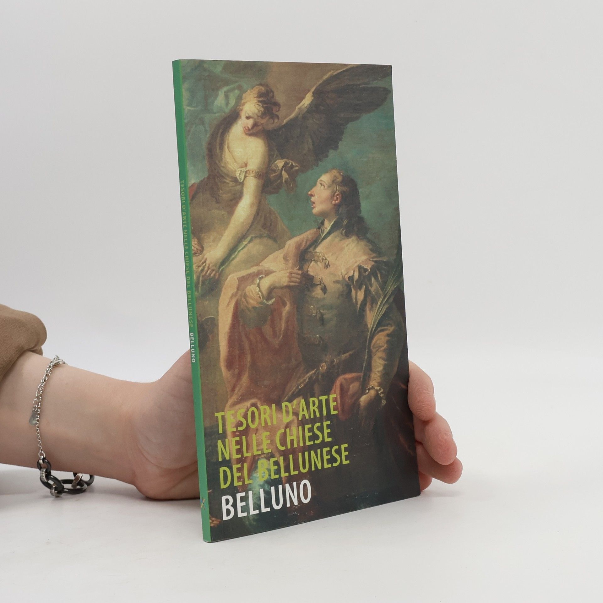 Flavio Vizzutti Tesori d'arte nelle chiese del bellunese. Belluno e territorio