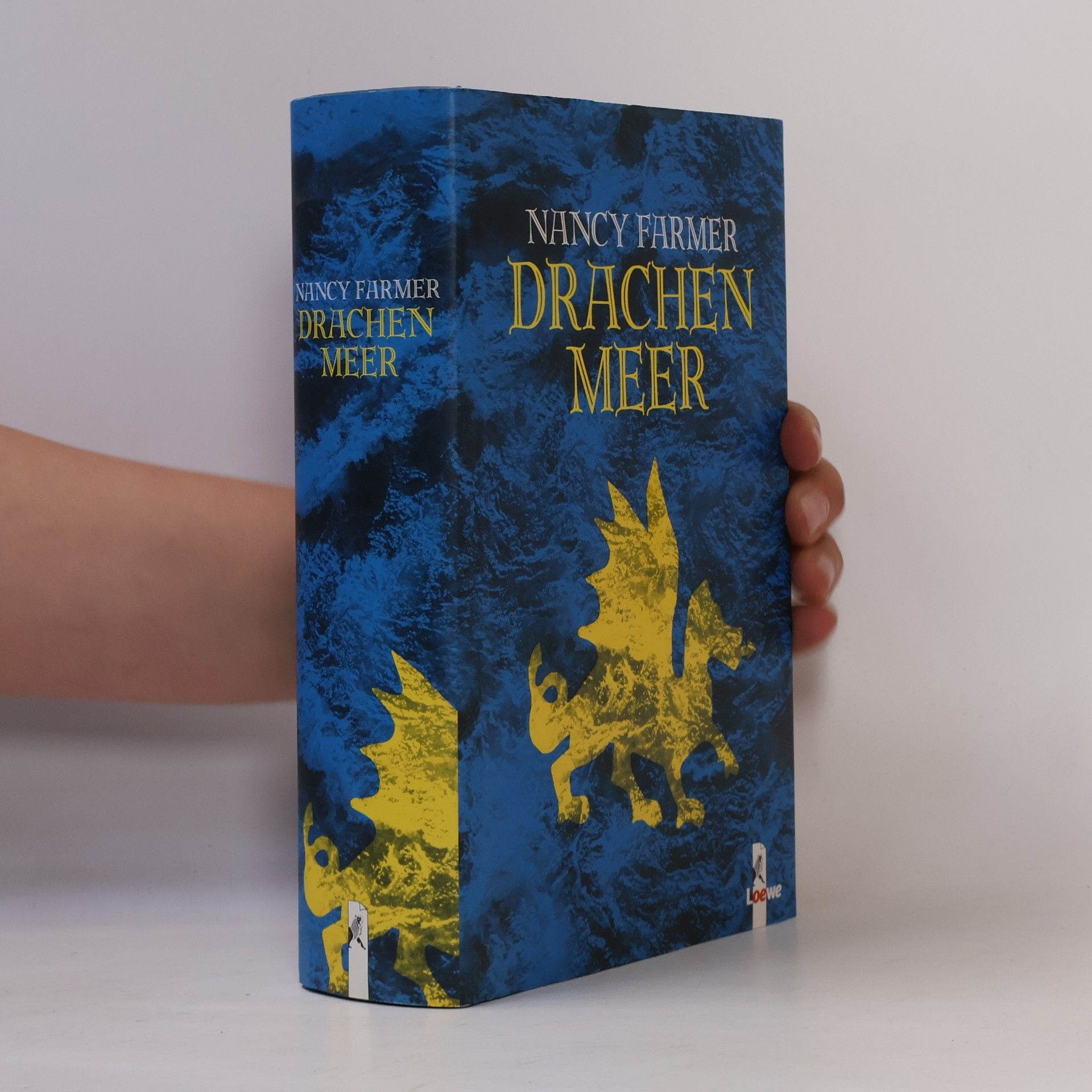 Drachen Meer