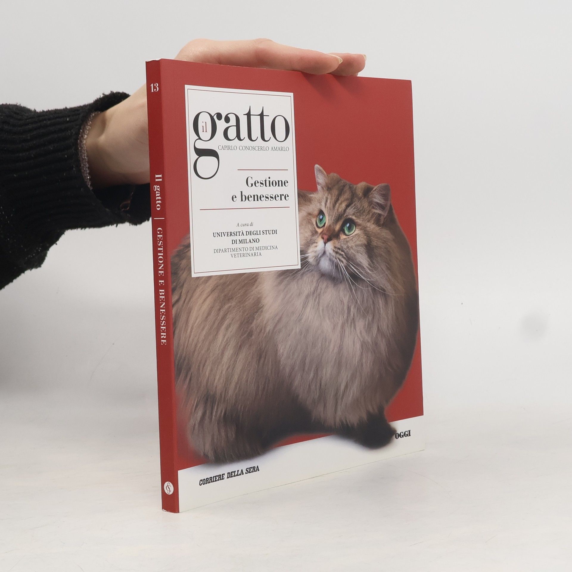 Auteurscollectief Il Gatto. Gestione e benessere