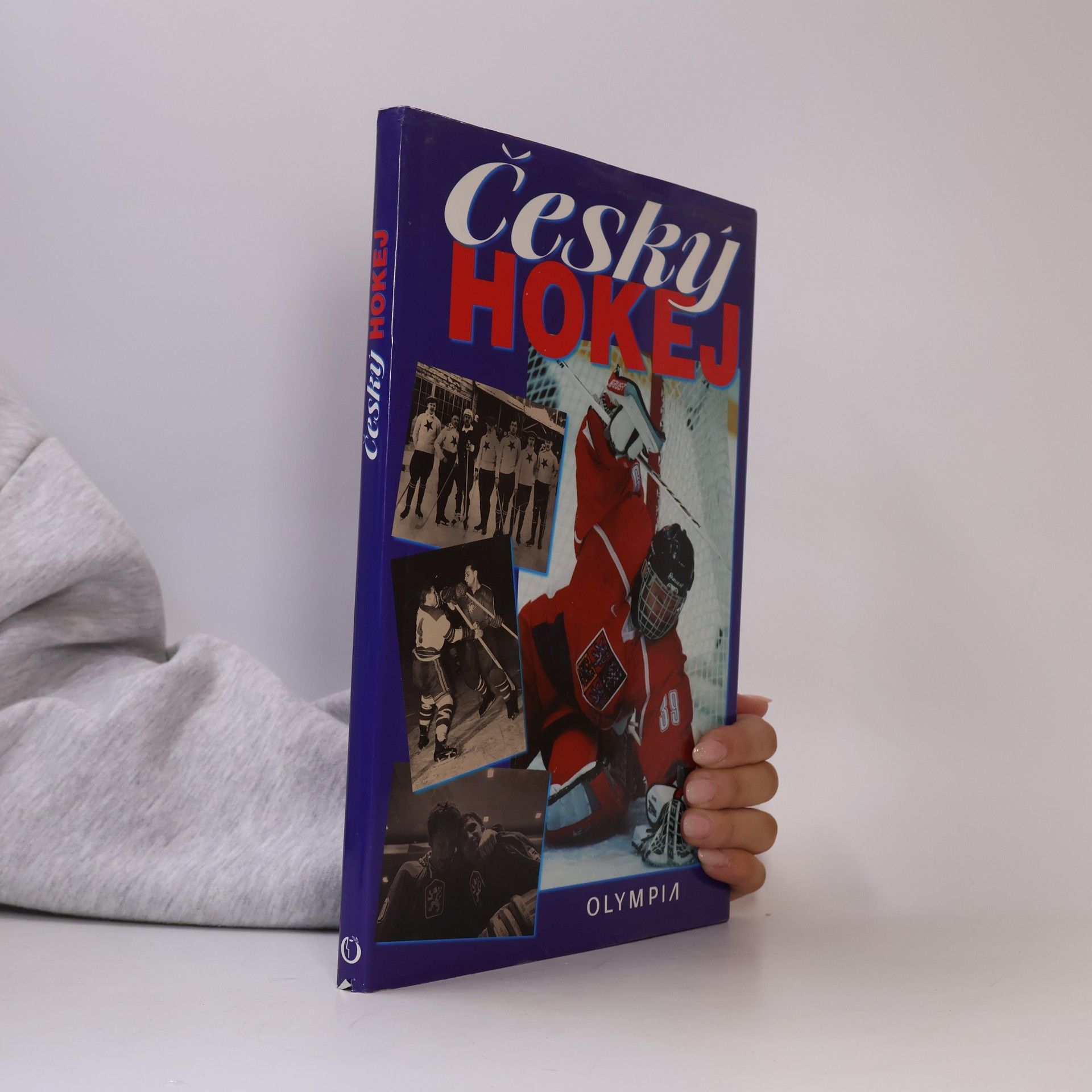 Český hokej