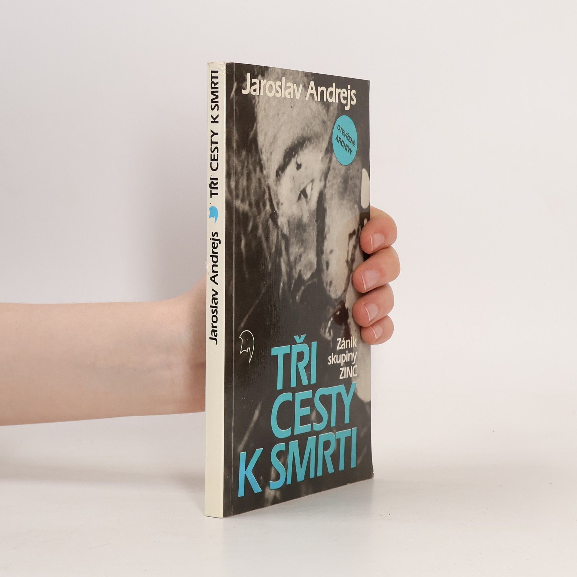 Jaroslav Andrejs Tři cesty k smrti (zánik skupiny ZINC)