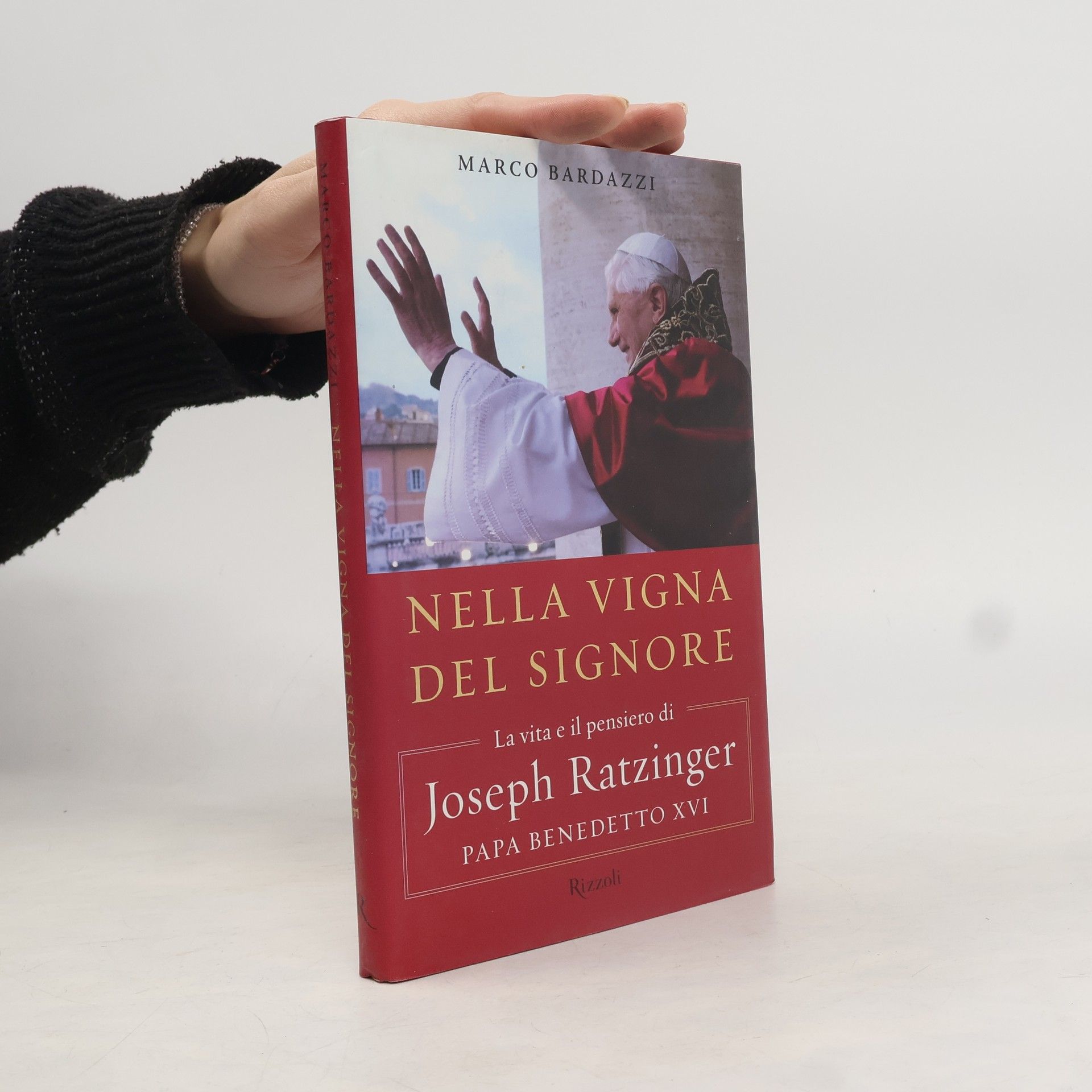 Marco Bardazzi Nella vigna del Signore