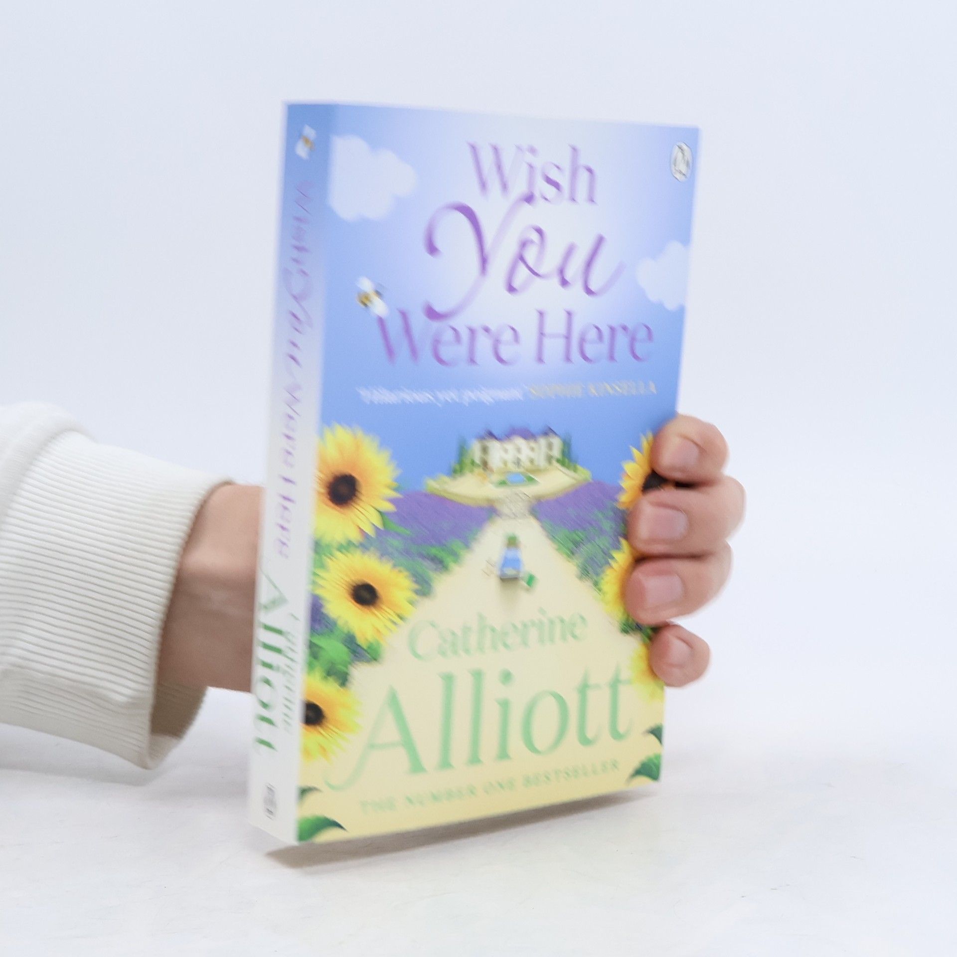 Catherine Alliott Wish you were here