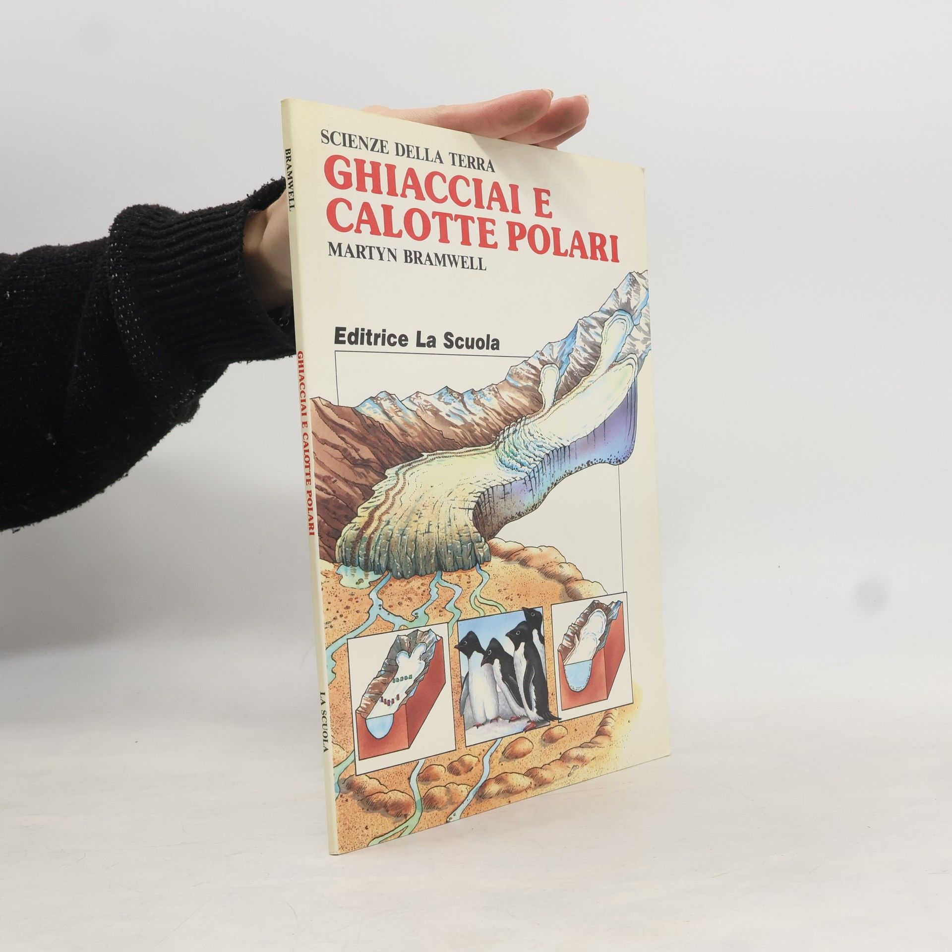 Ghiacciai e calotte polari