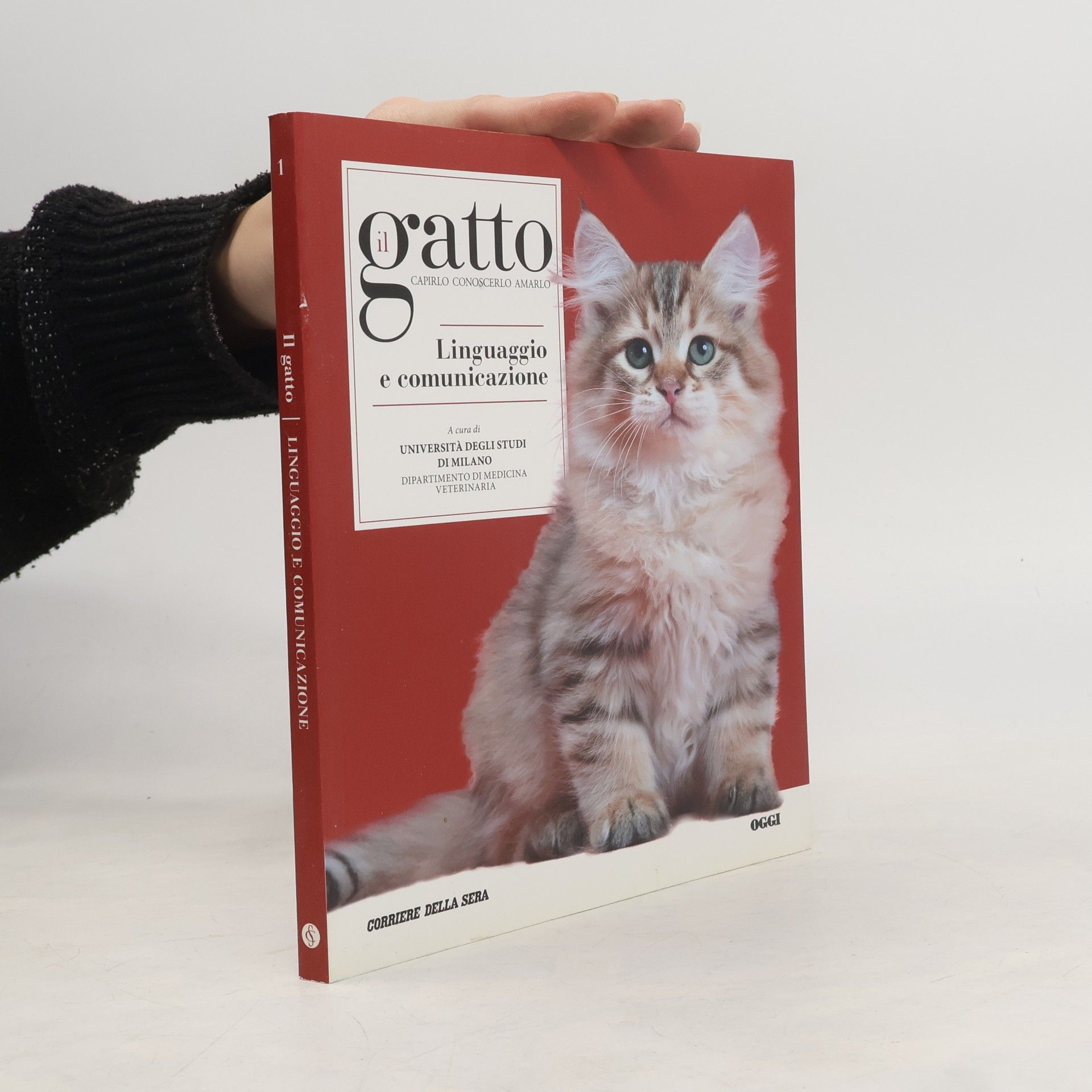 Kolektiv autorů Il gatto. Linguaggio e comunicazione