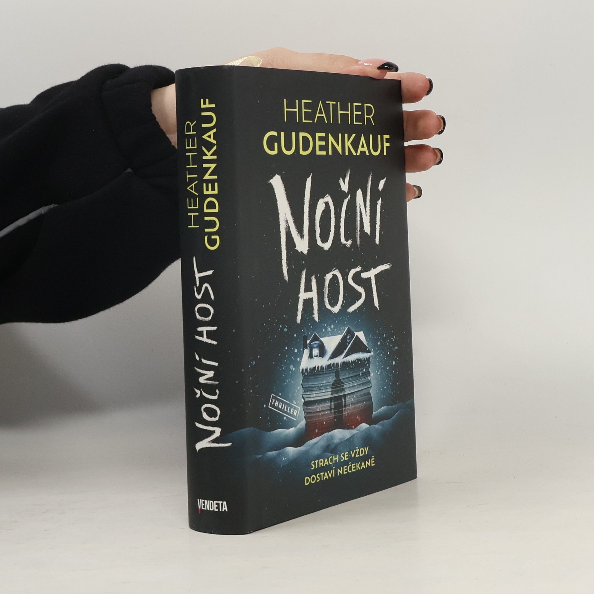 Heather Gudenkauf Noční host