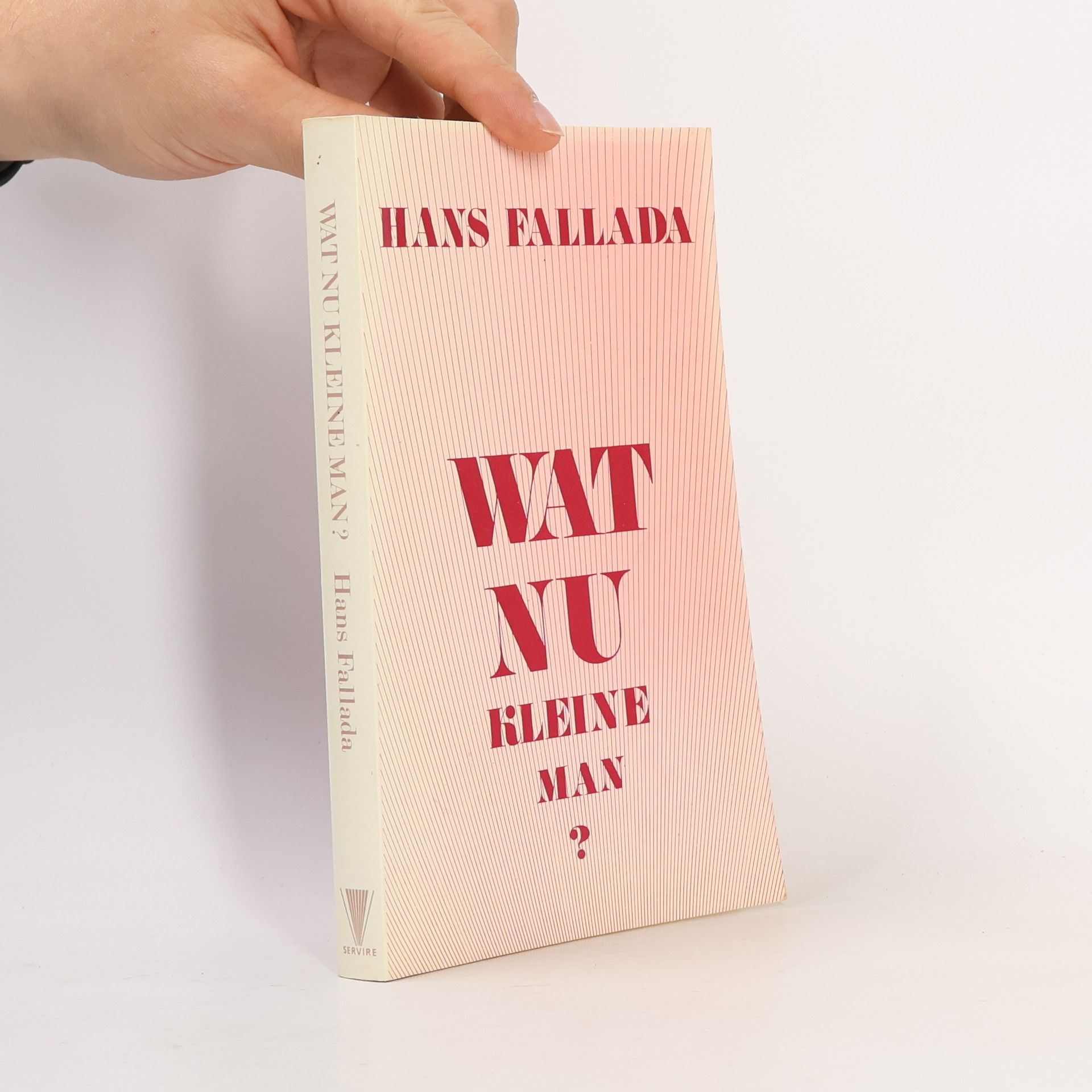 Hans Fallada Wat nu, kleine man?