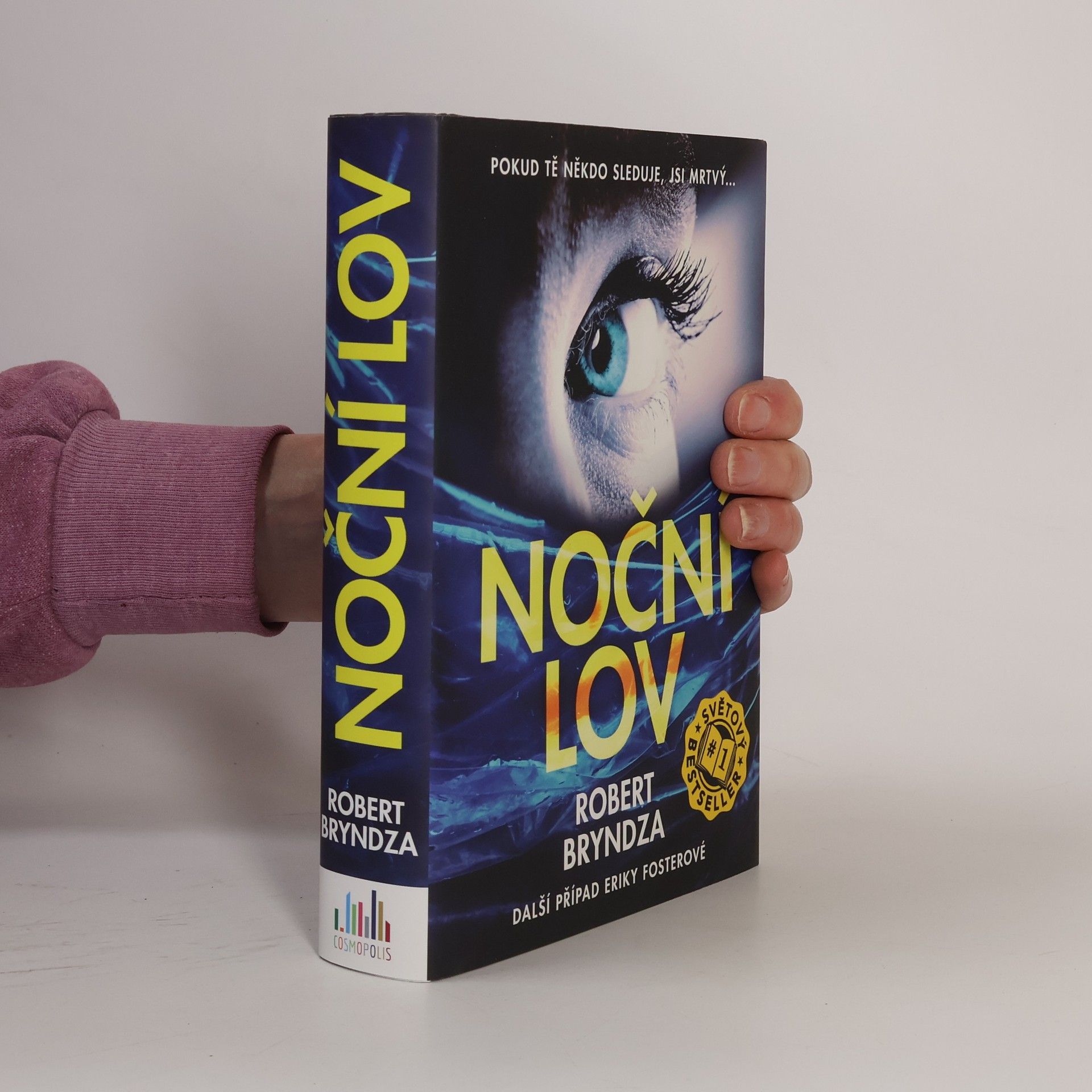 Robert Bryndza Noční lov
