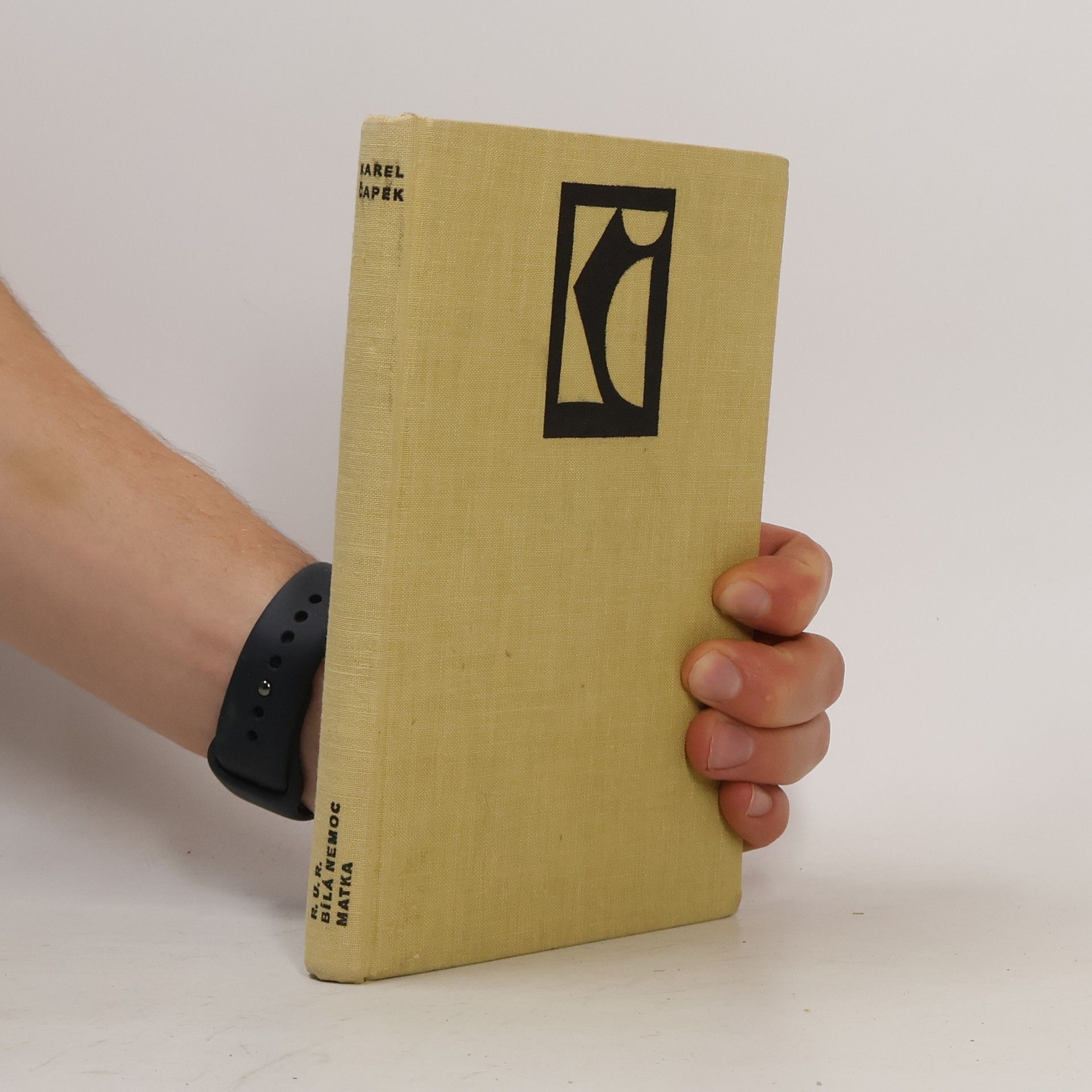 Karel Čapek R. U. R., Bílá nemoc, Matka