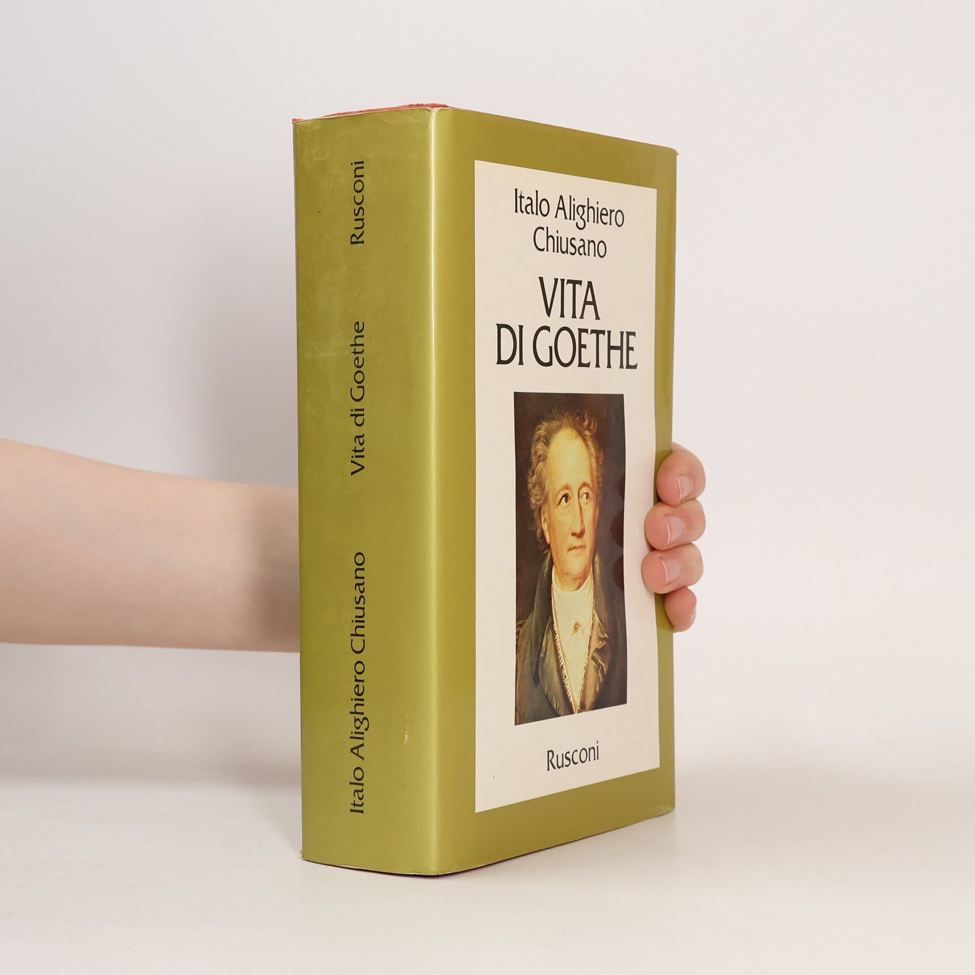 Vita di Goethe