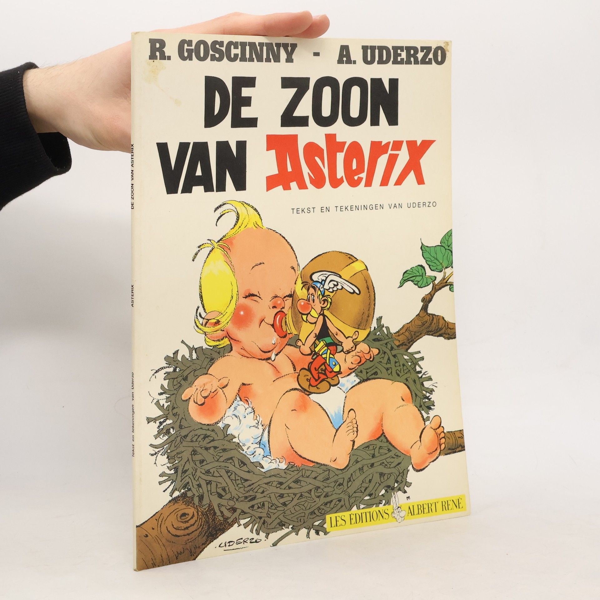 Autorenkollektiv De Zoon van Asterix