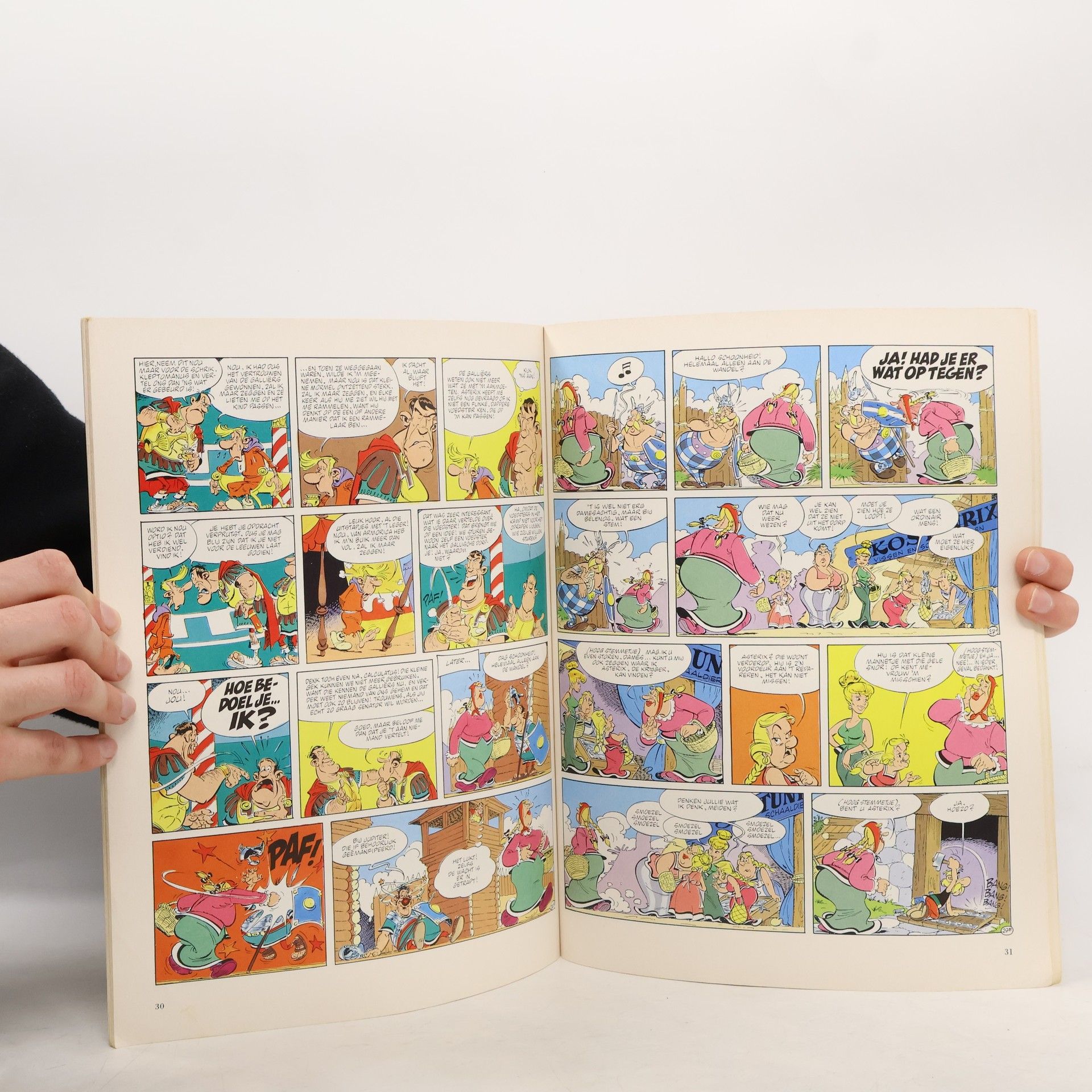 Autorenkollektiv De Zoon van Asterix