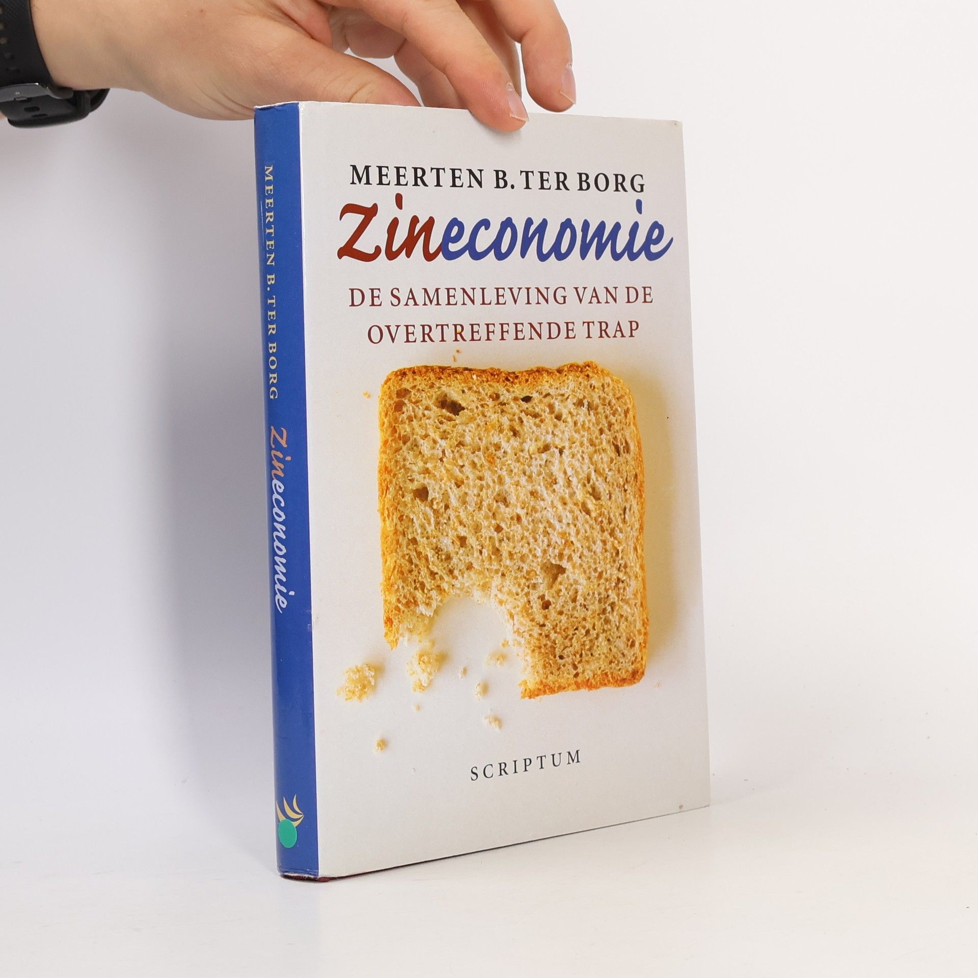 Meerten B. Ter Borg Zineconomie