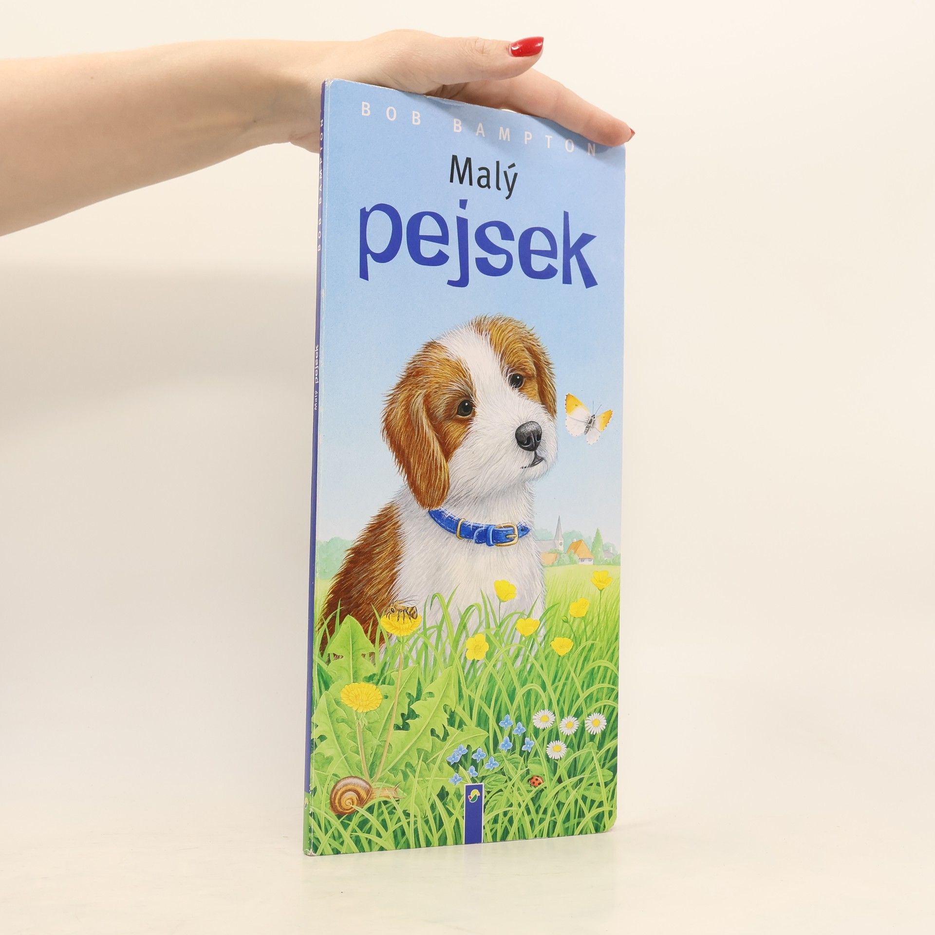 Malý pejsek