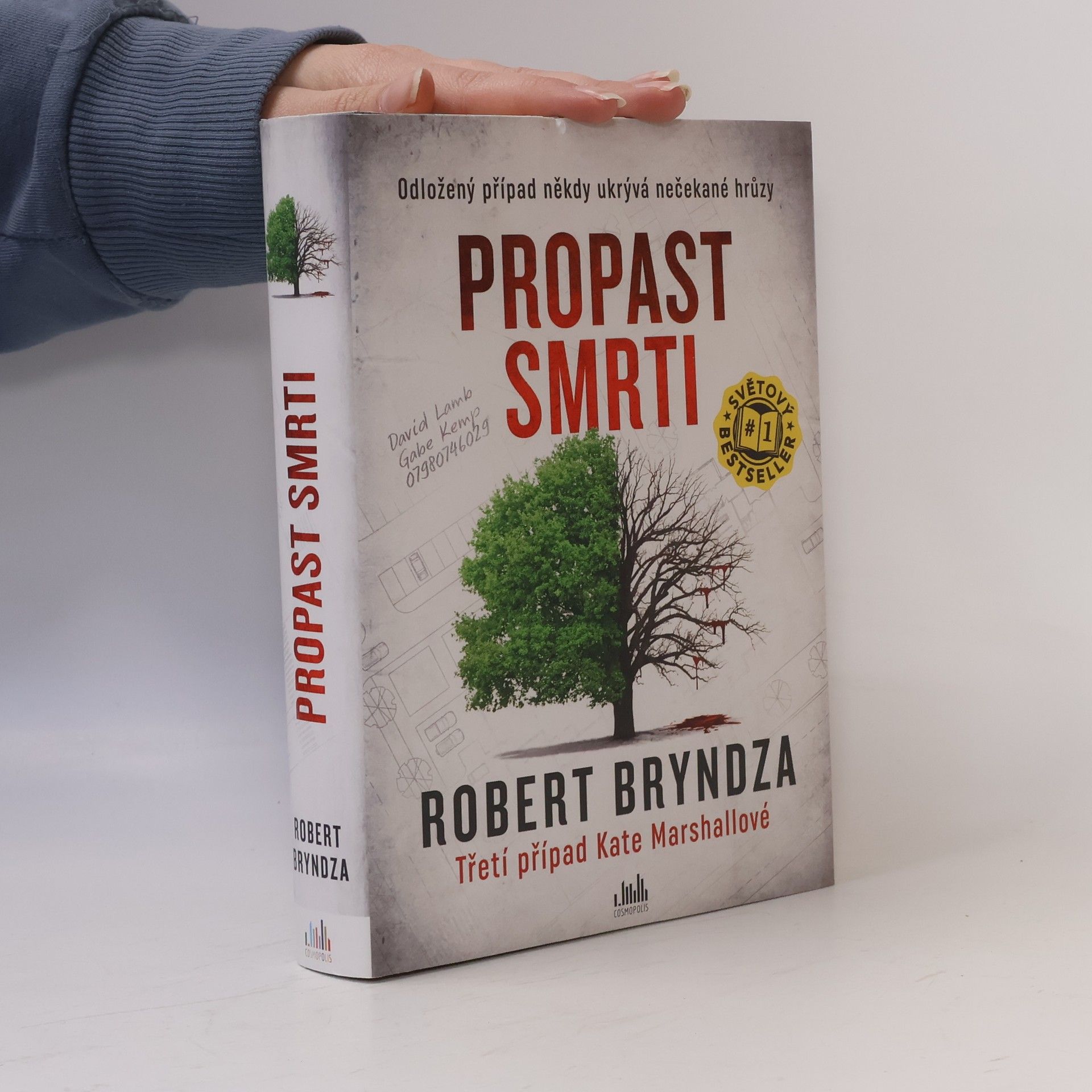 Robert Bryndza Propast smrti
