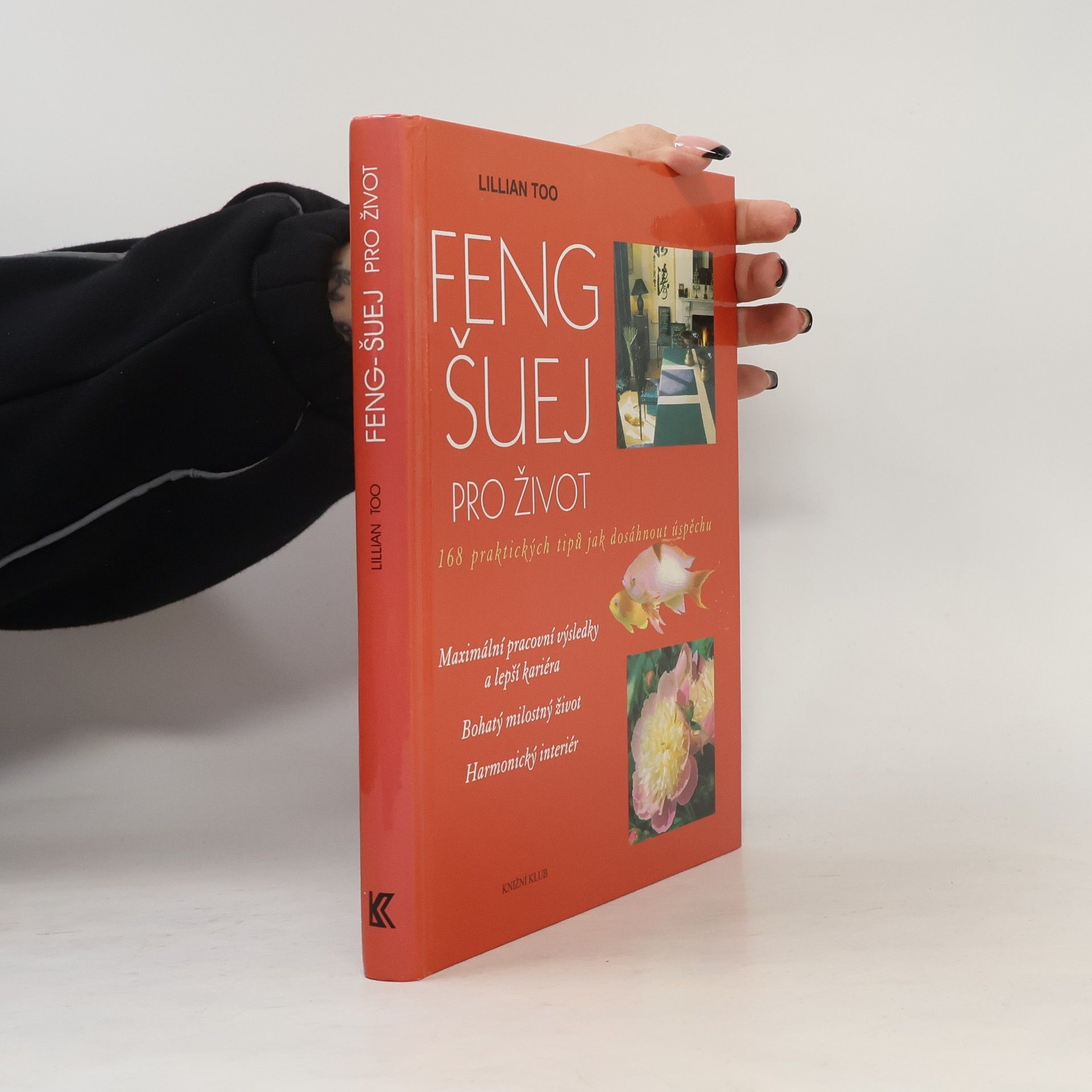 Lillian Too Feng-šuej pro život : 168 praktických tipů jak dosáhnout úspěchu