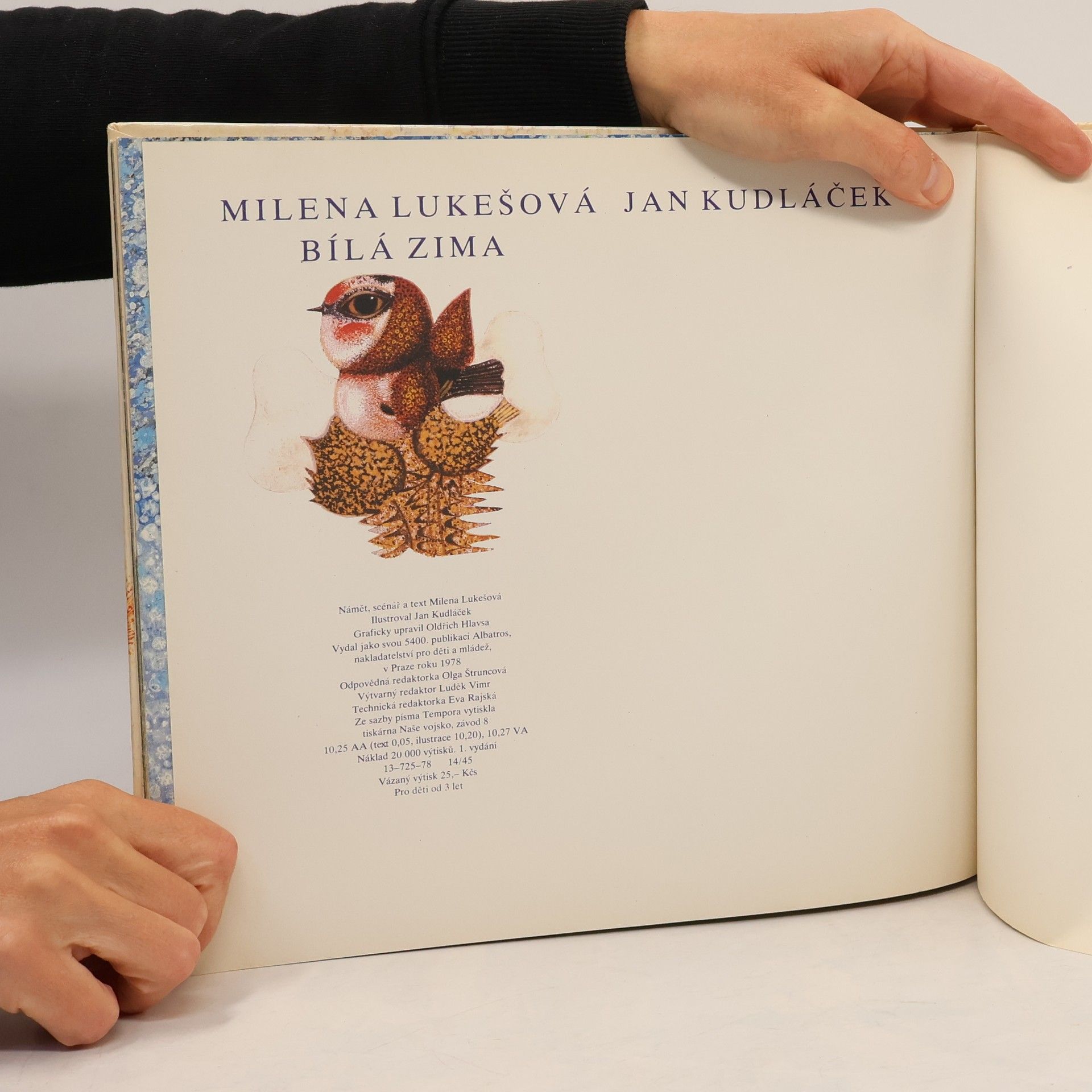 Milena Lukešová Bílá zima