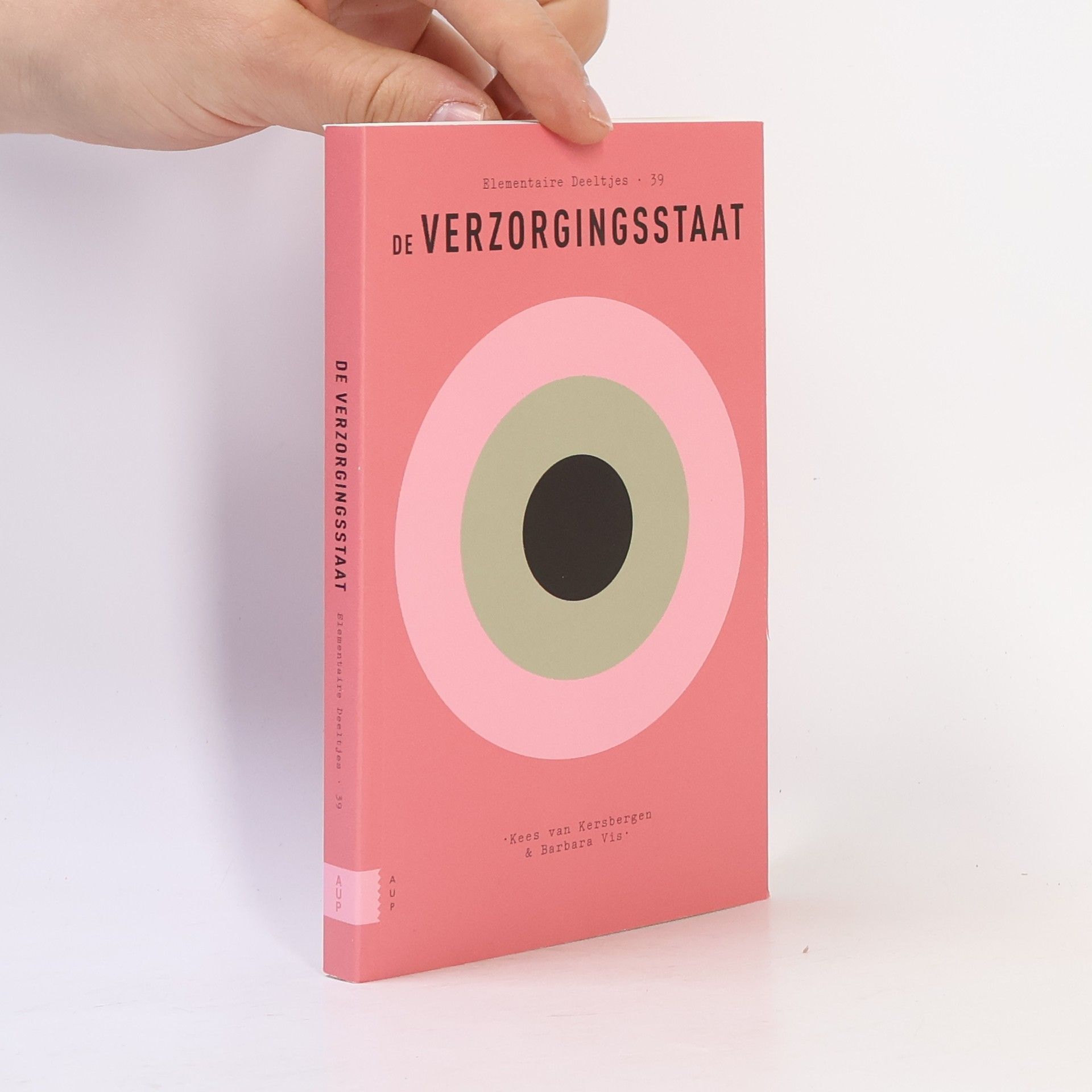 Barbara Vis De verzorgingsstaat