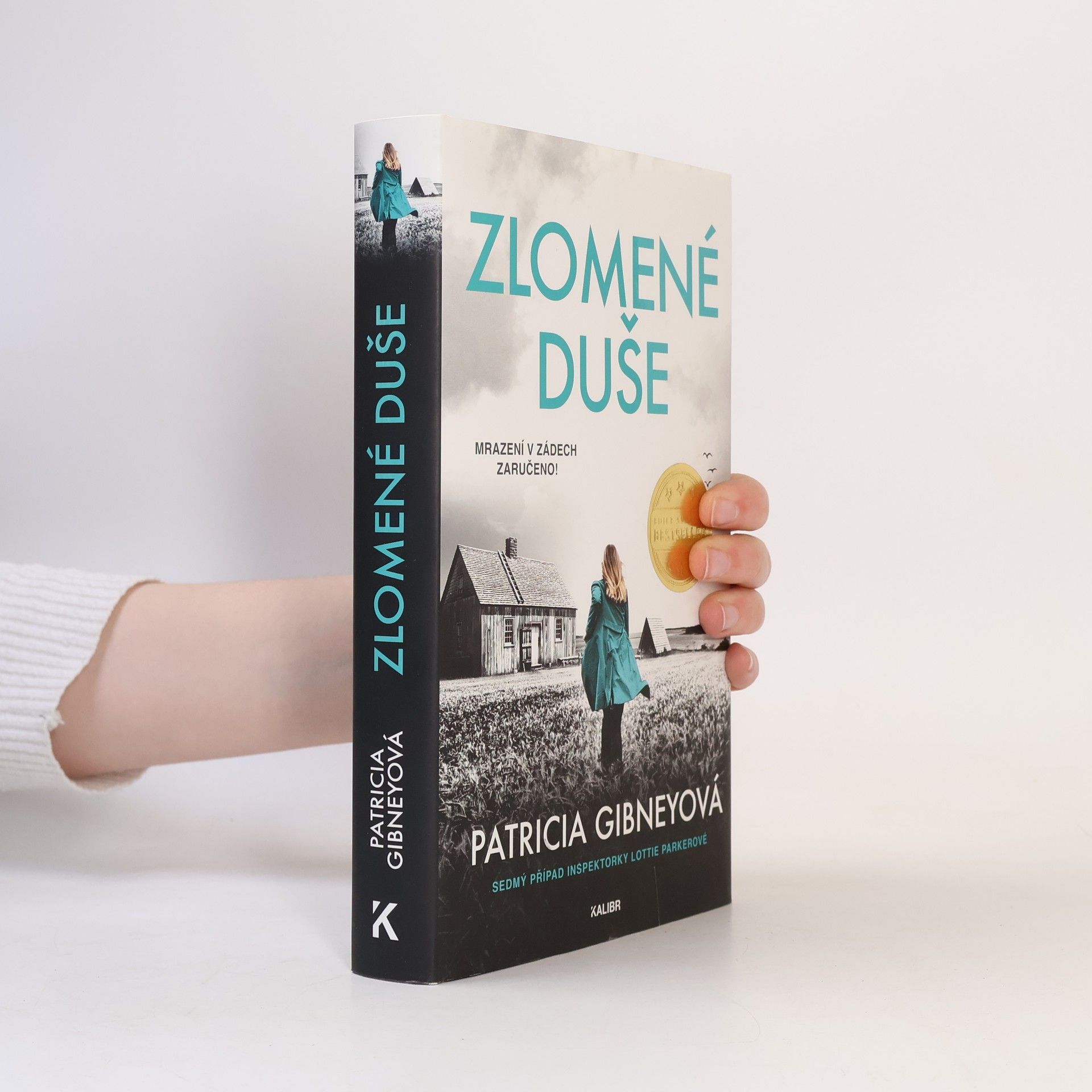 Patricia Gibney Zlomené Duše