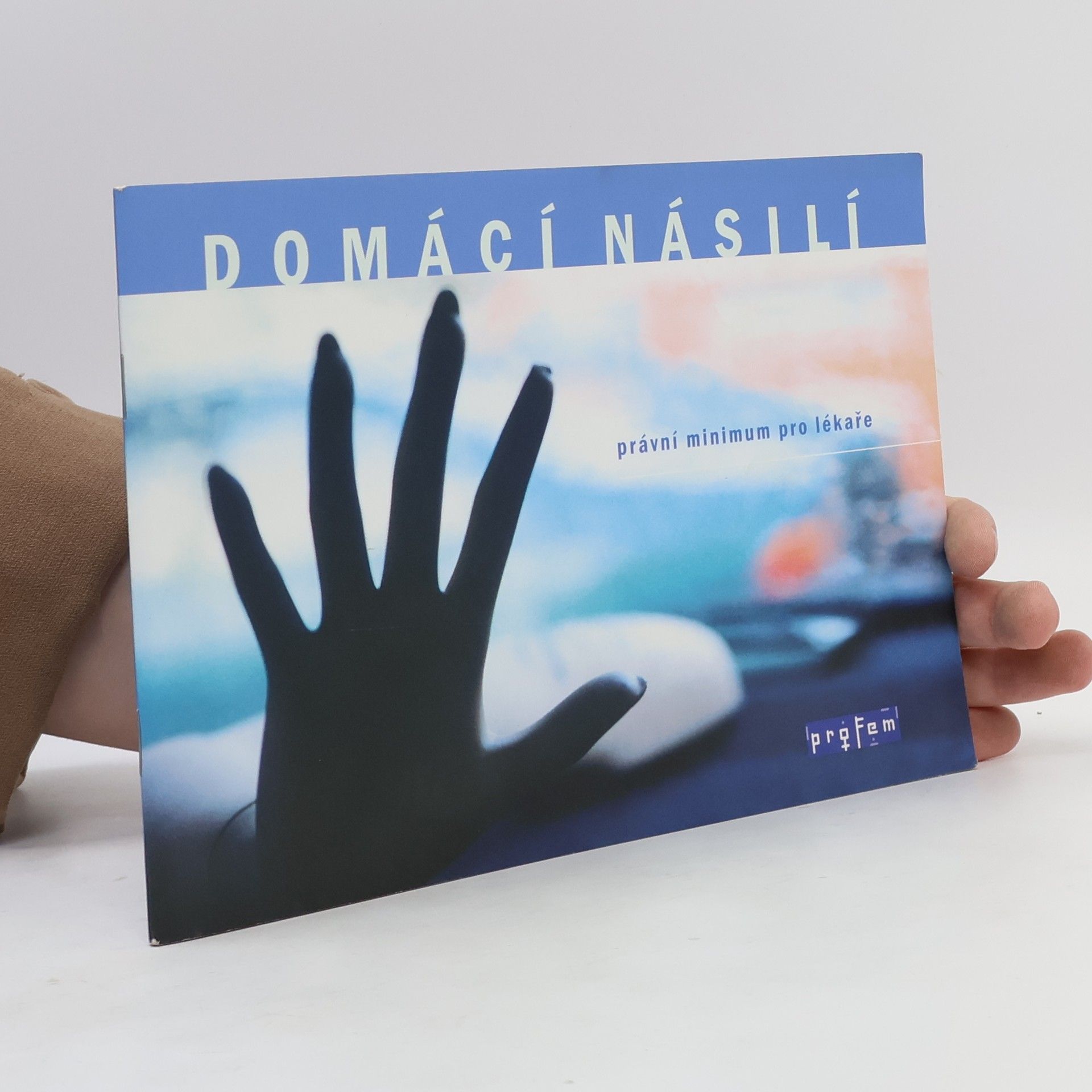 Domácí násilí