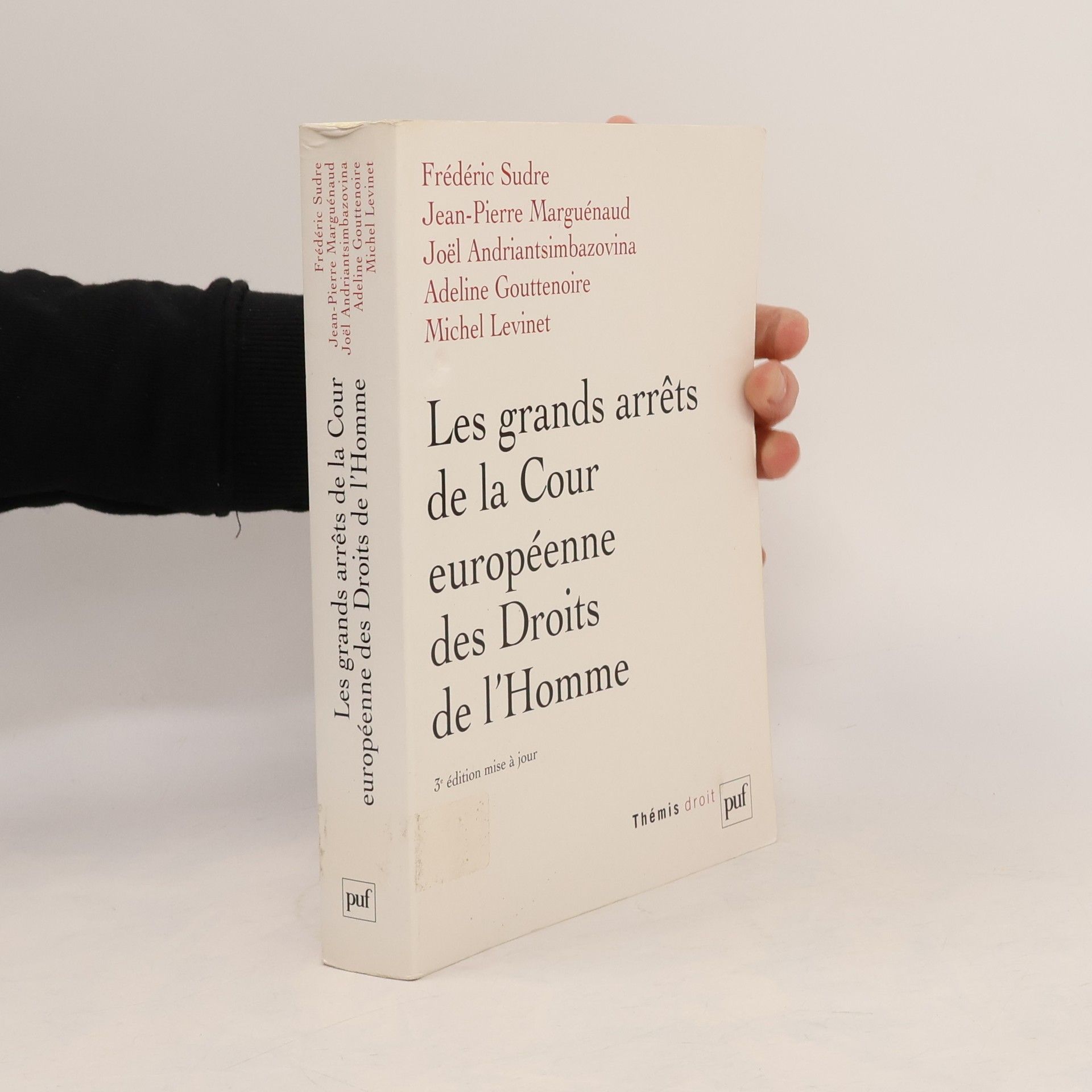 Michel Levinet Les grands arrêts de la Cour européenne des droits de l'homme