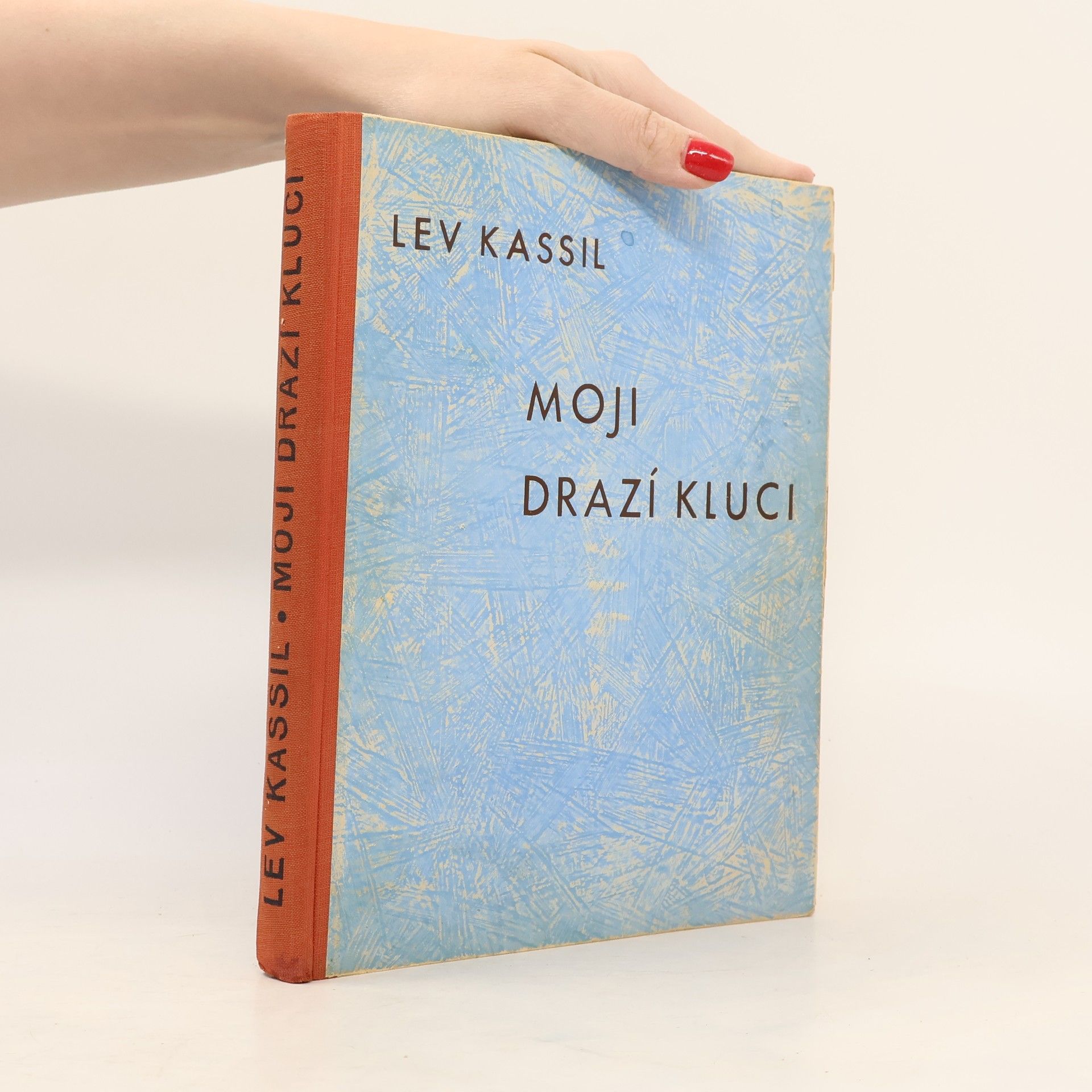 Autorenkollektiv Moji drazí kluci. Dětský román