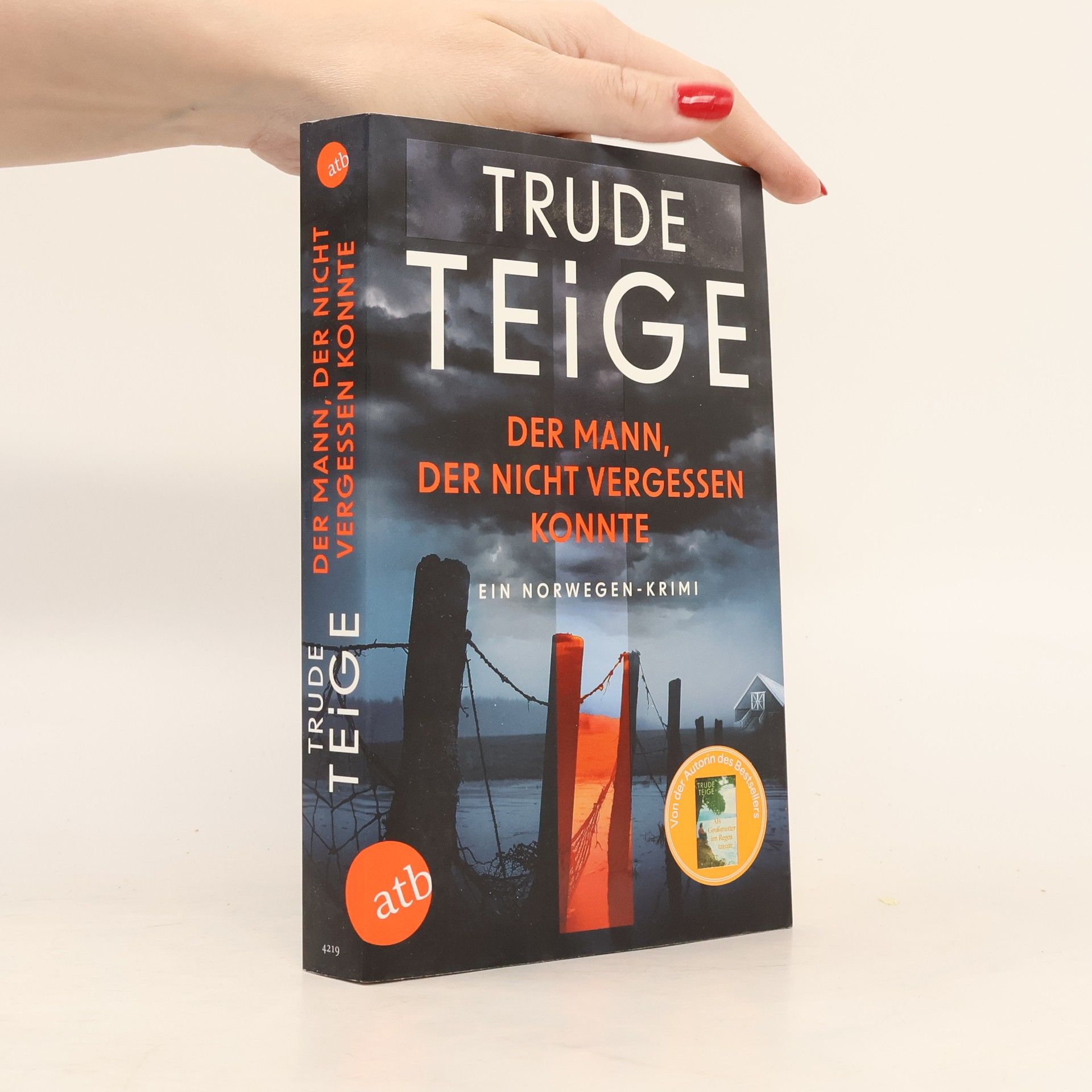 Trude Teige Der Mann, der nicht vergessen konnte