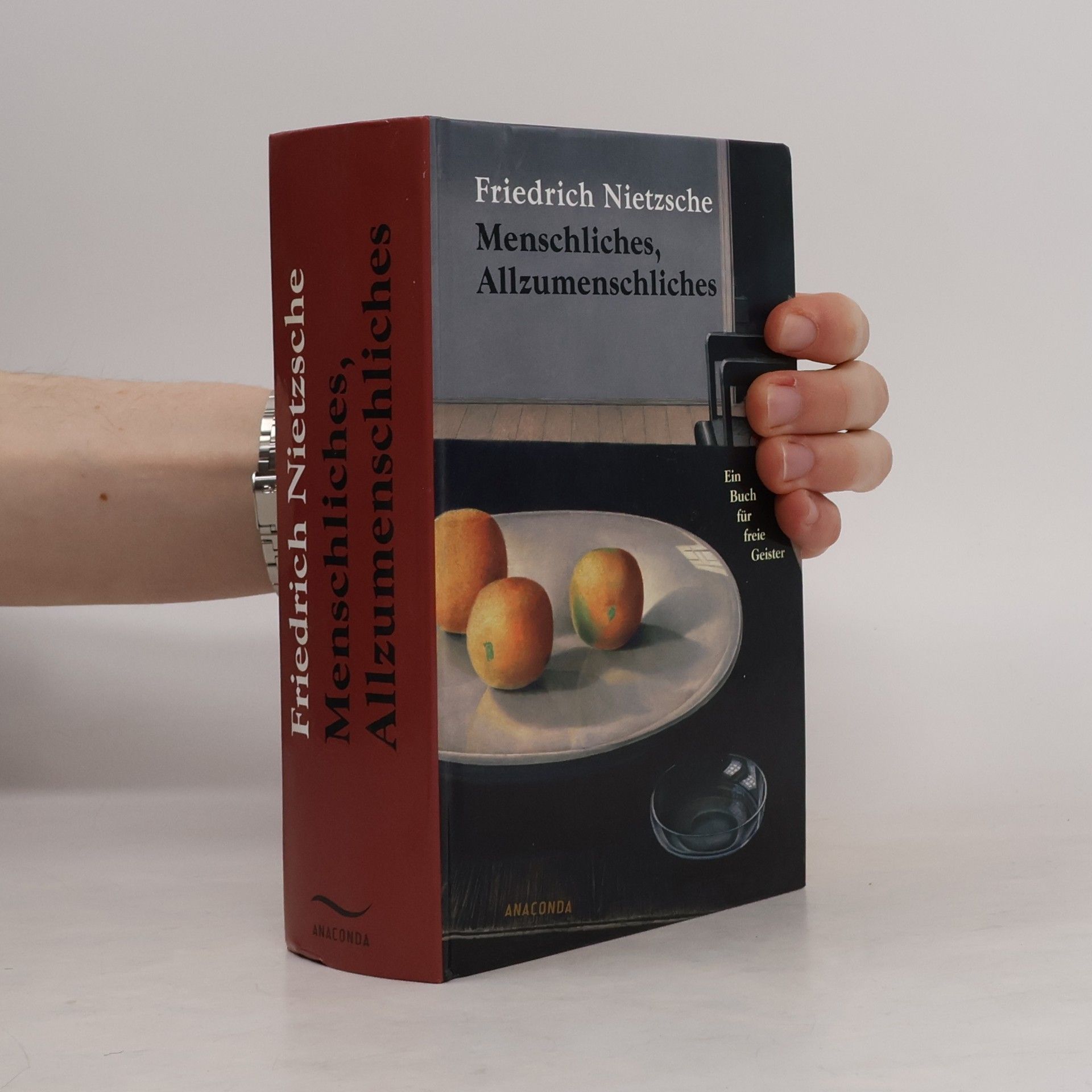 Friedrich Nietzsche Menschliches, Allzumenschliches