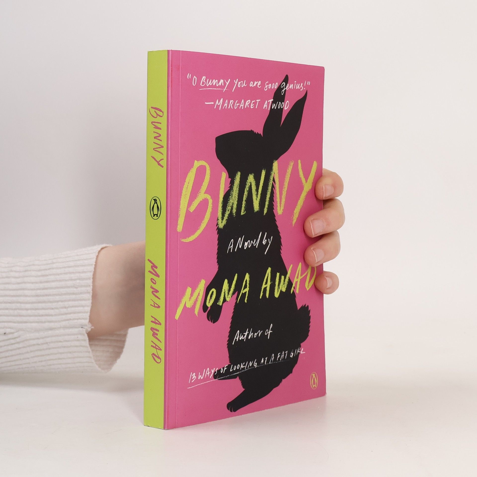 Mona Awad Bunny