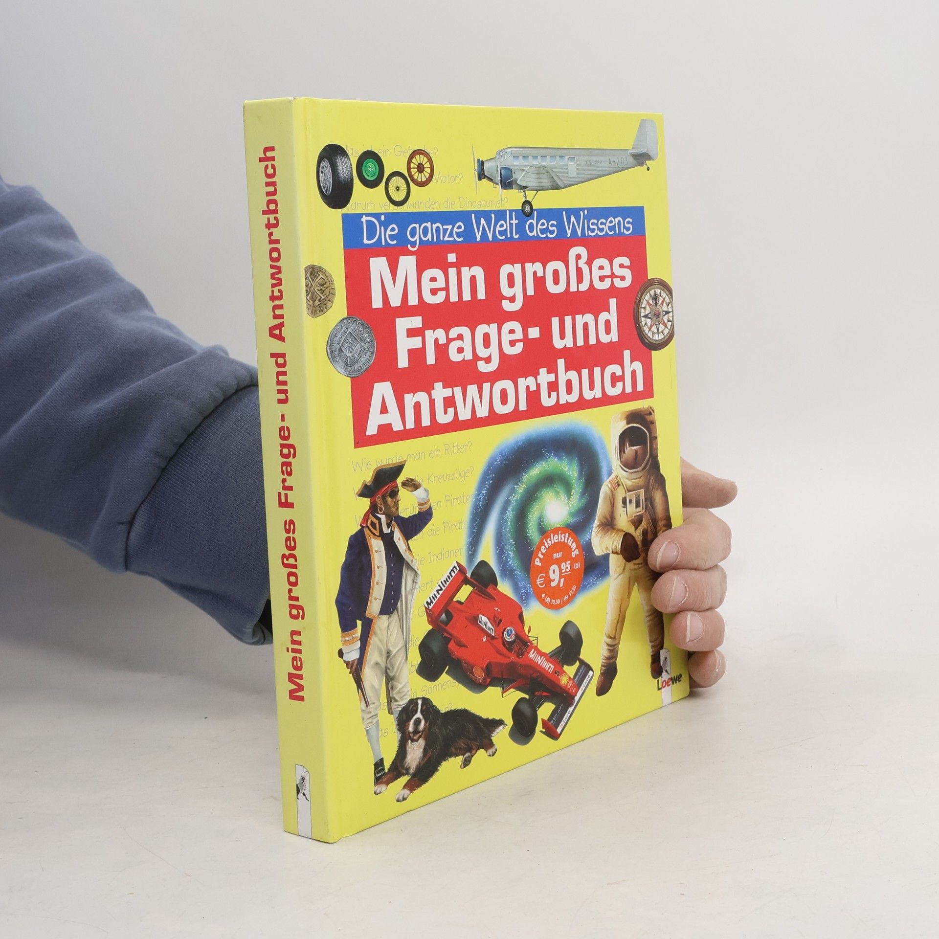 Kolektiv autorů Mein großes Frage- und Antwortbuch