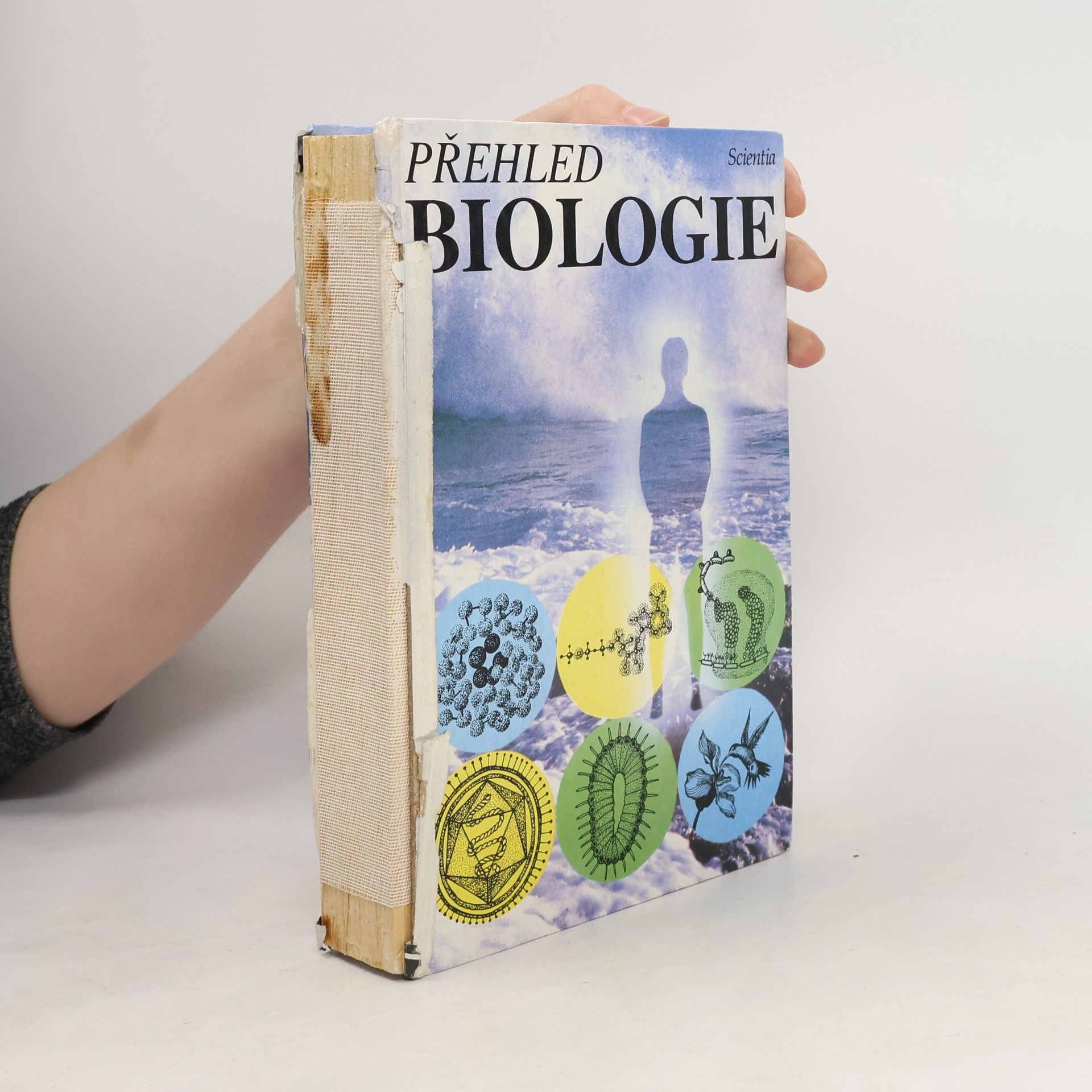 Stanislav Rosypal Přehled biologie