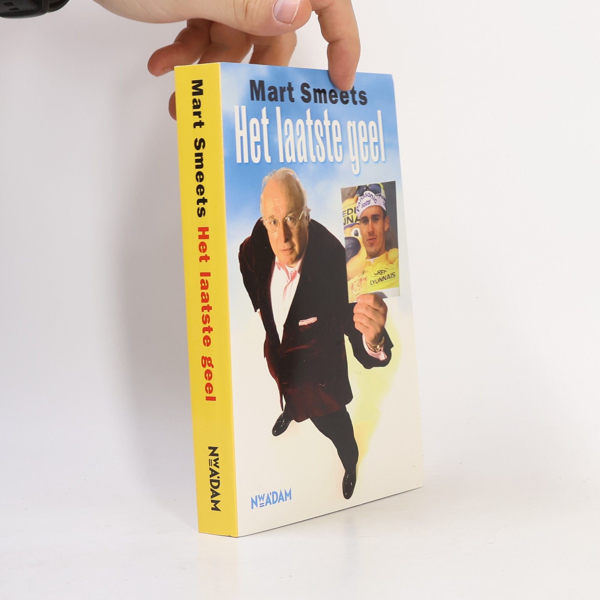 Martinus Jan Smeets Het laatste geel