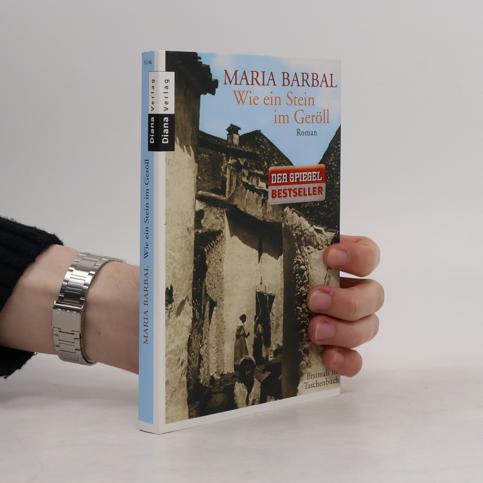 María Barbal Wie ein Stein im Geröll