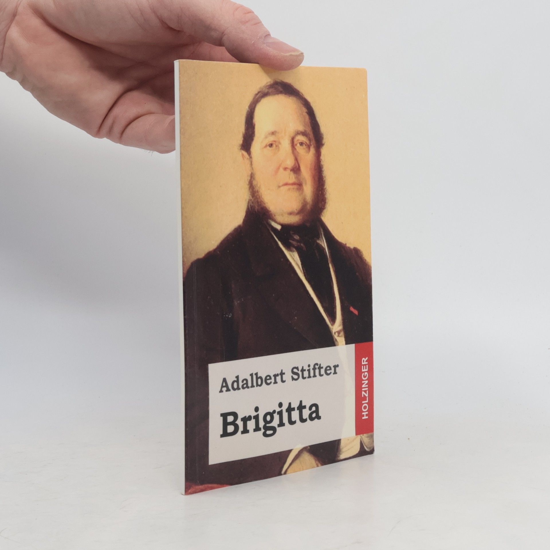 Adalbert Stifter Brigitta