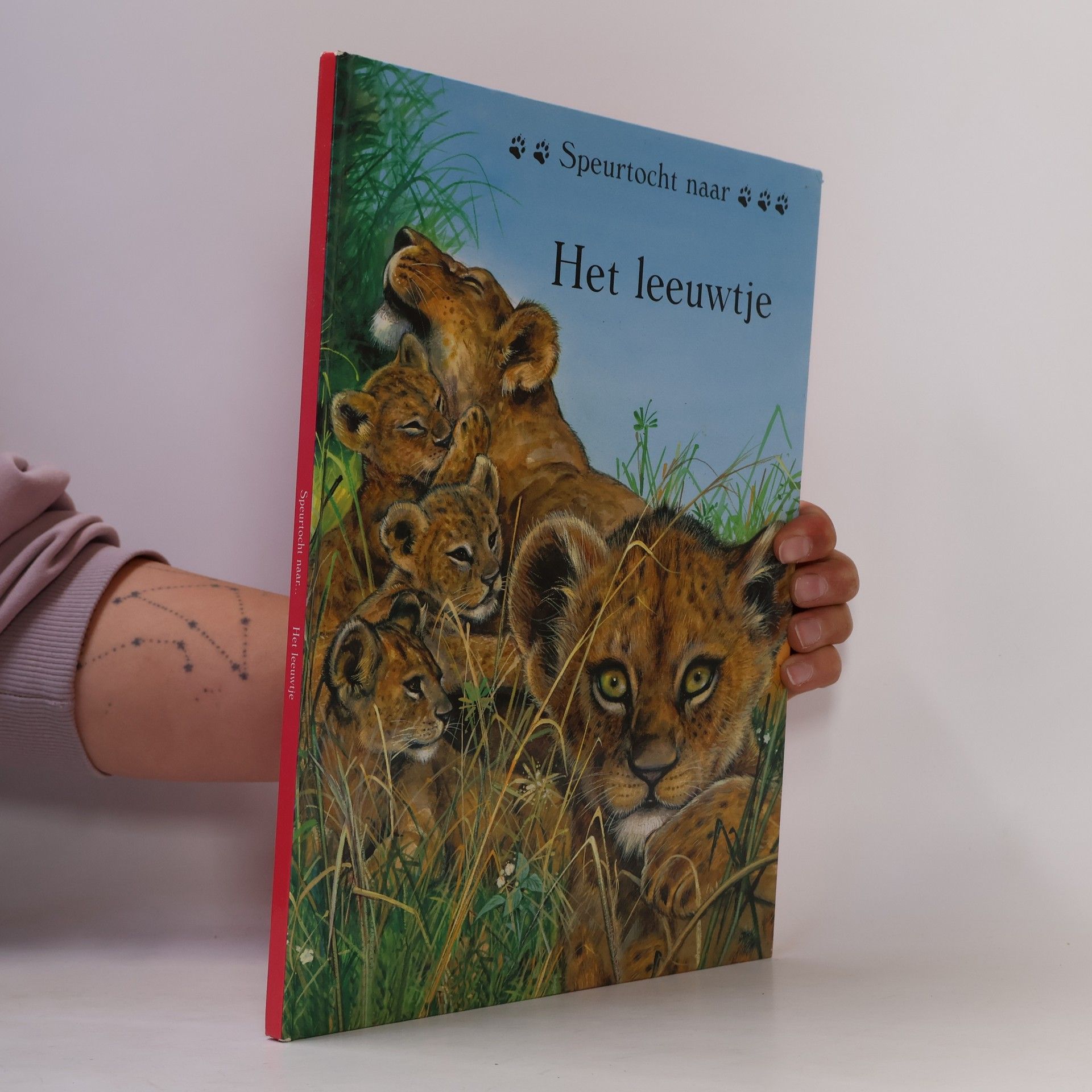 Auteurscollectief Het leeuwtje