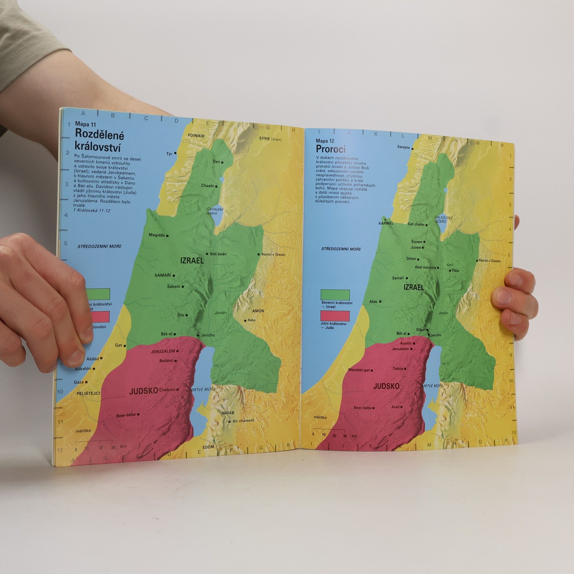 Tim Dowley Školní biblický atlas