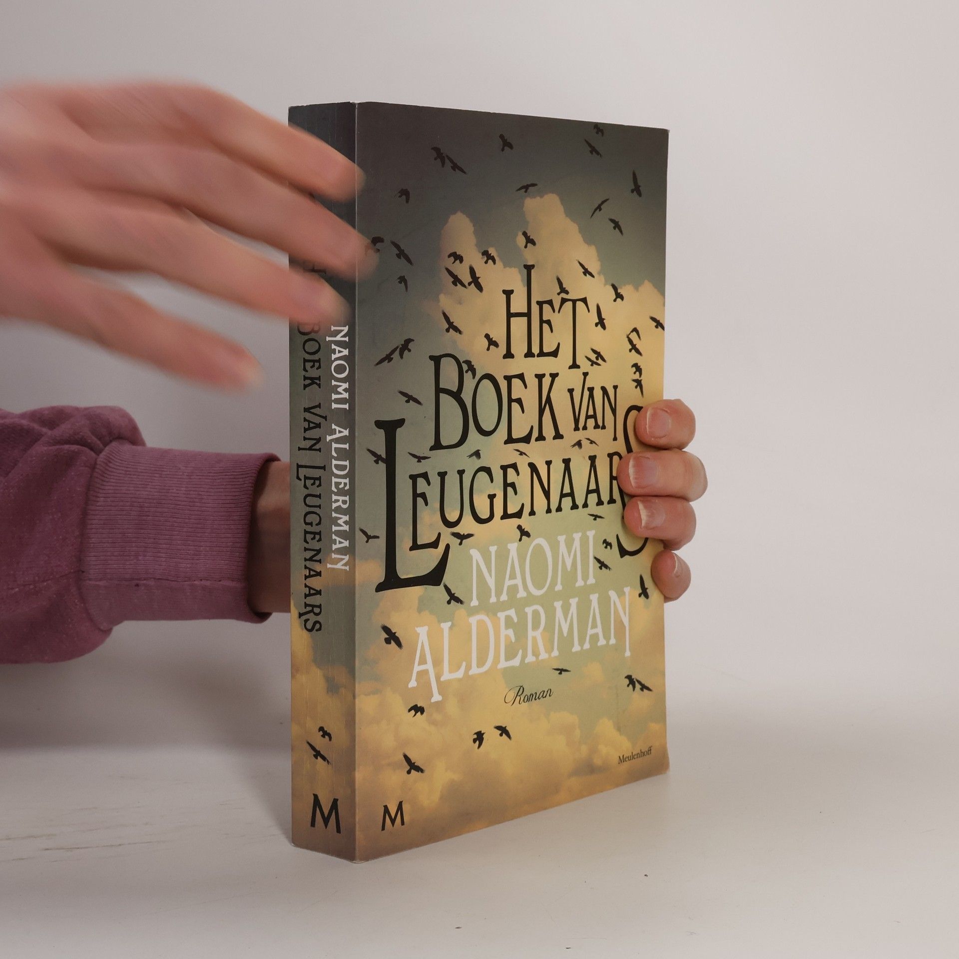 Het boek van leugenaars