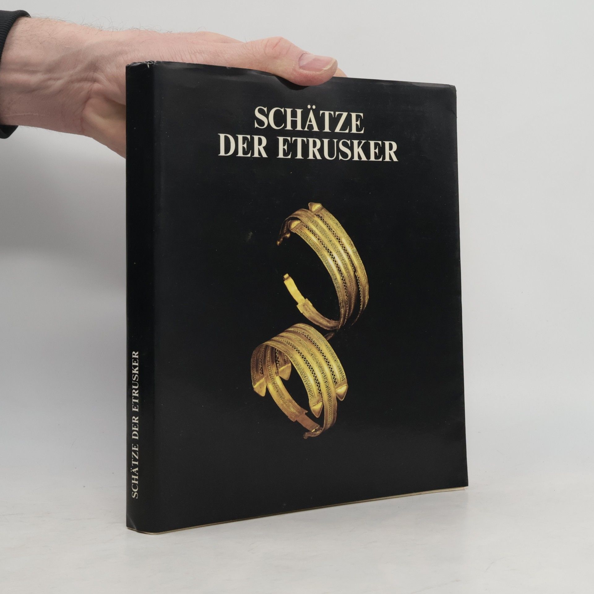 Francesco Nicosia Schätze der Etrusker