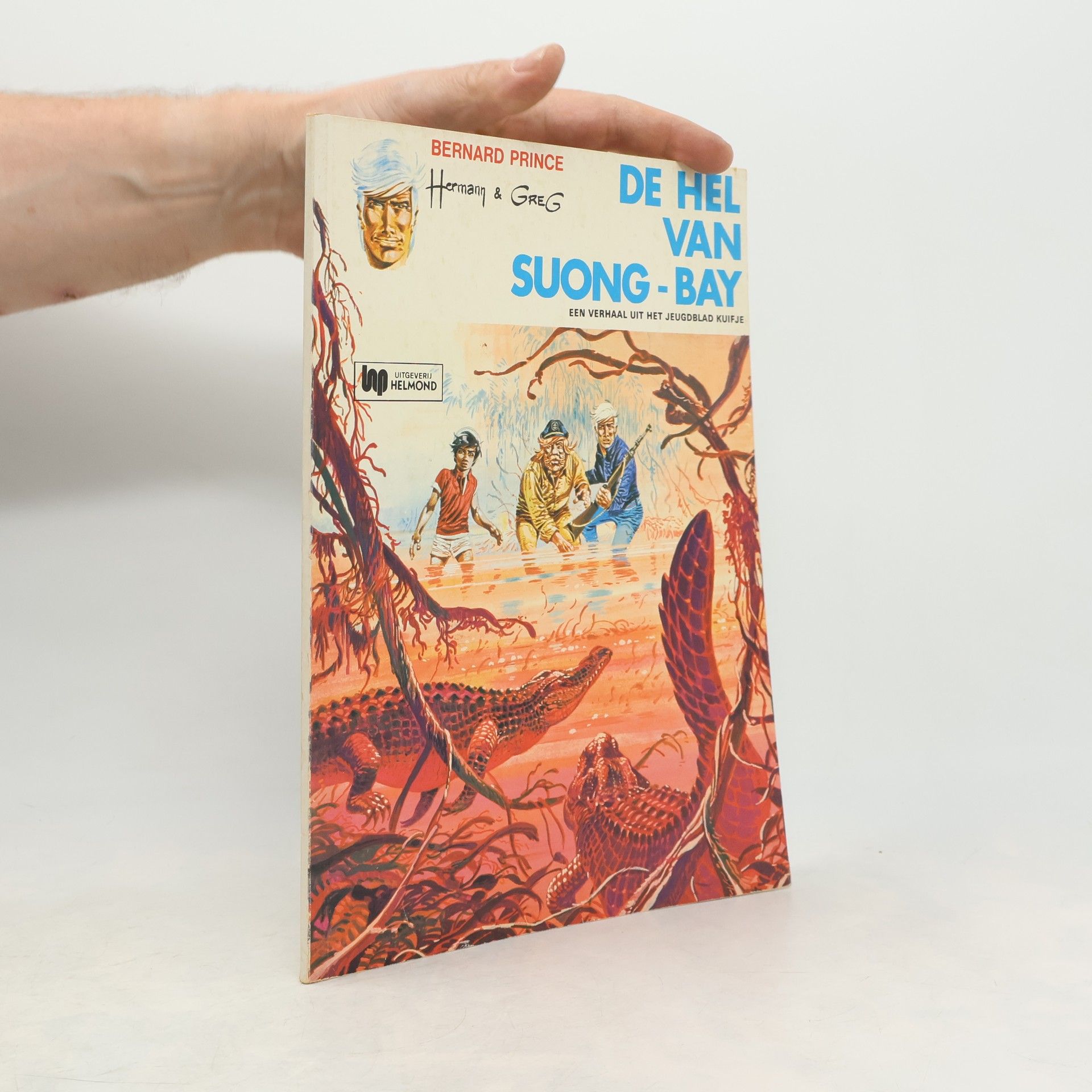 Collectif d'auteurs De hel van Suong-Bay