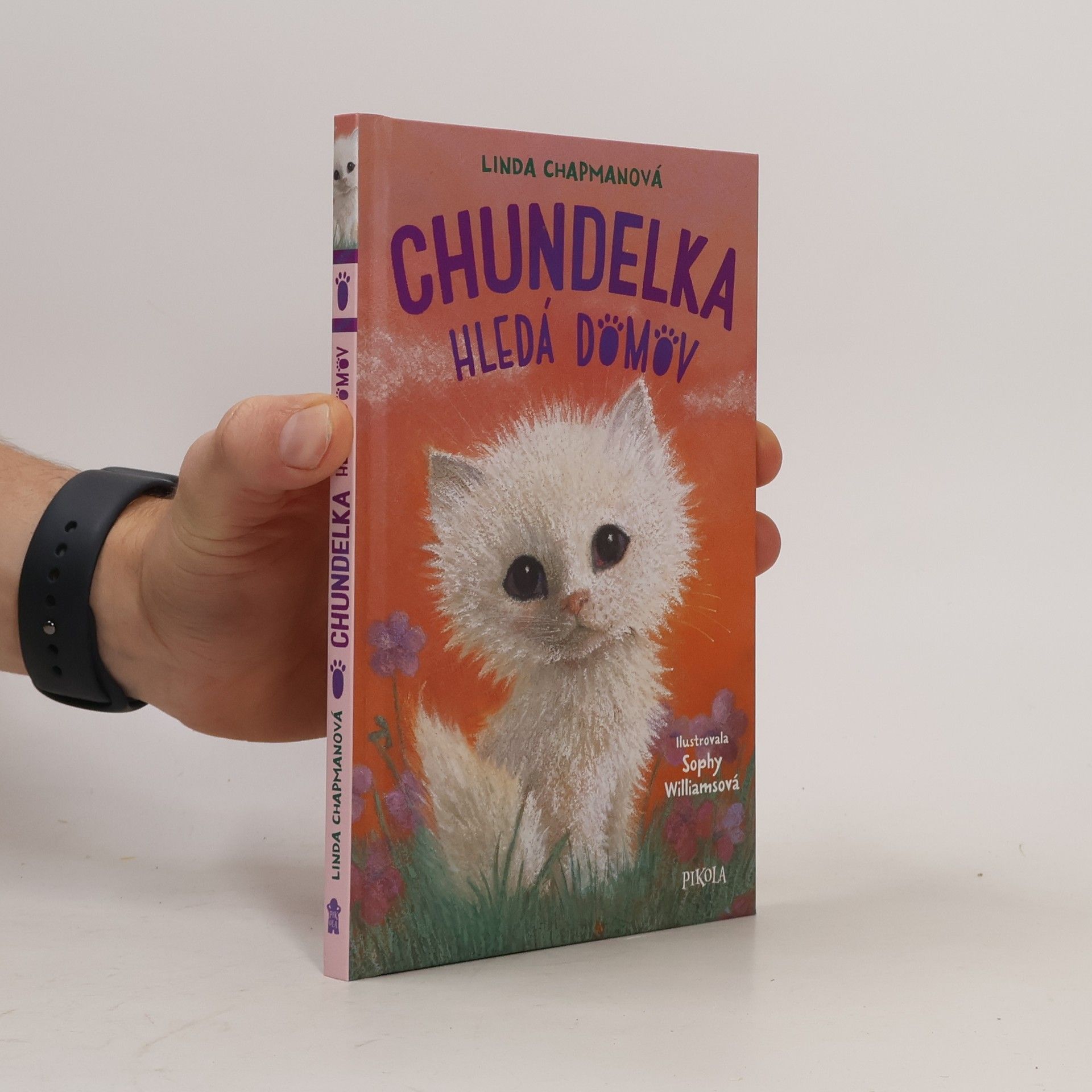 Linda Chapman Chundelka hledá domov