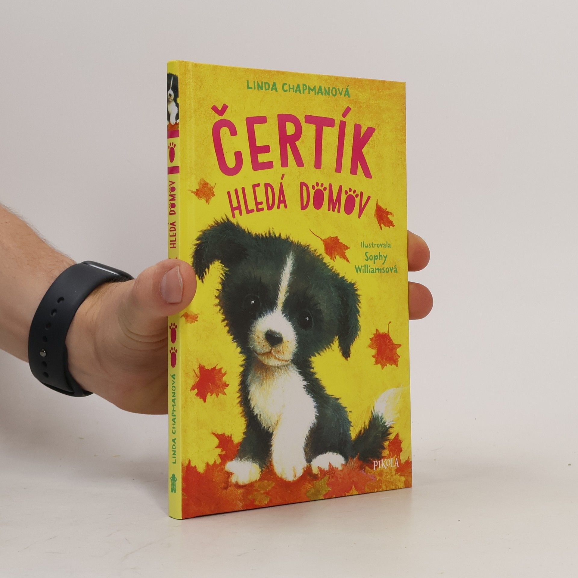 Linda Chapman Čertík hledá domov