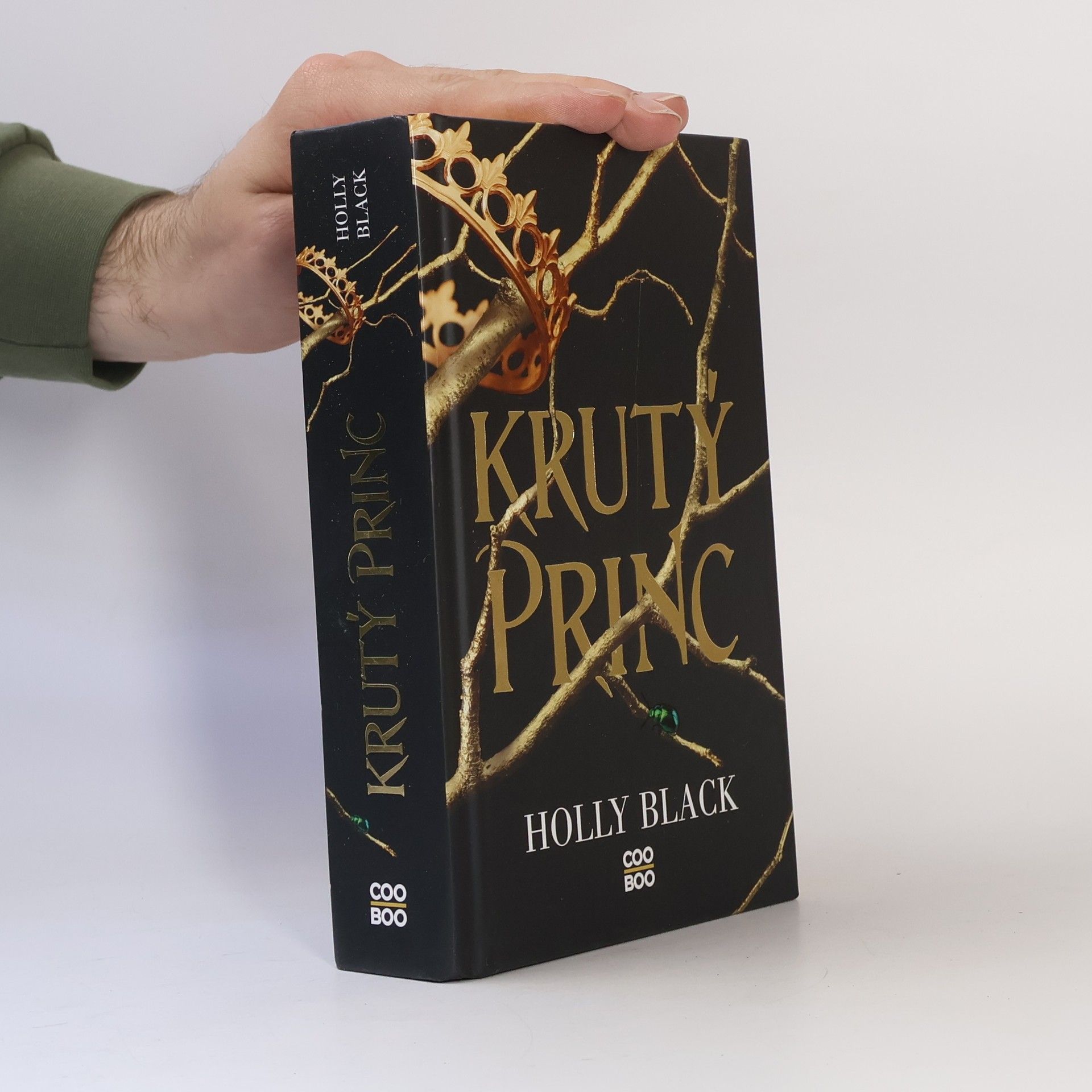 Holly Black Krutý princ