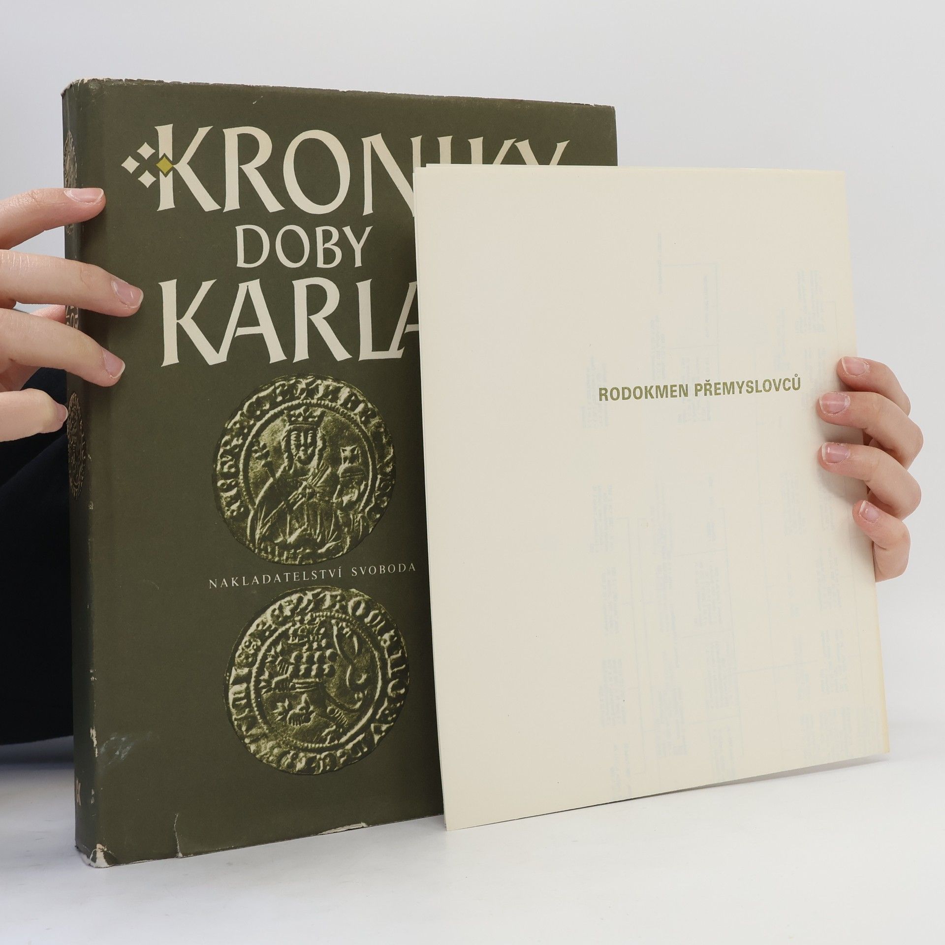 Autorenkollektiv Kroniky doby Karla IV.