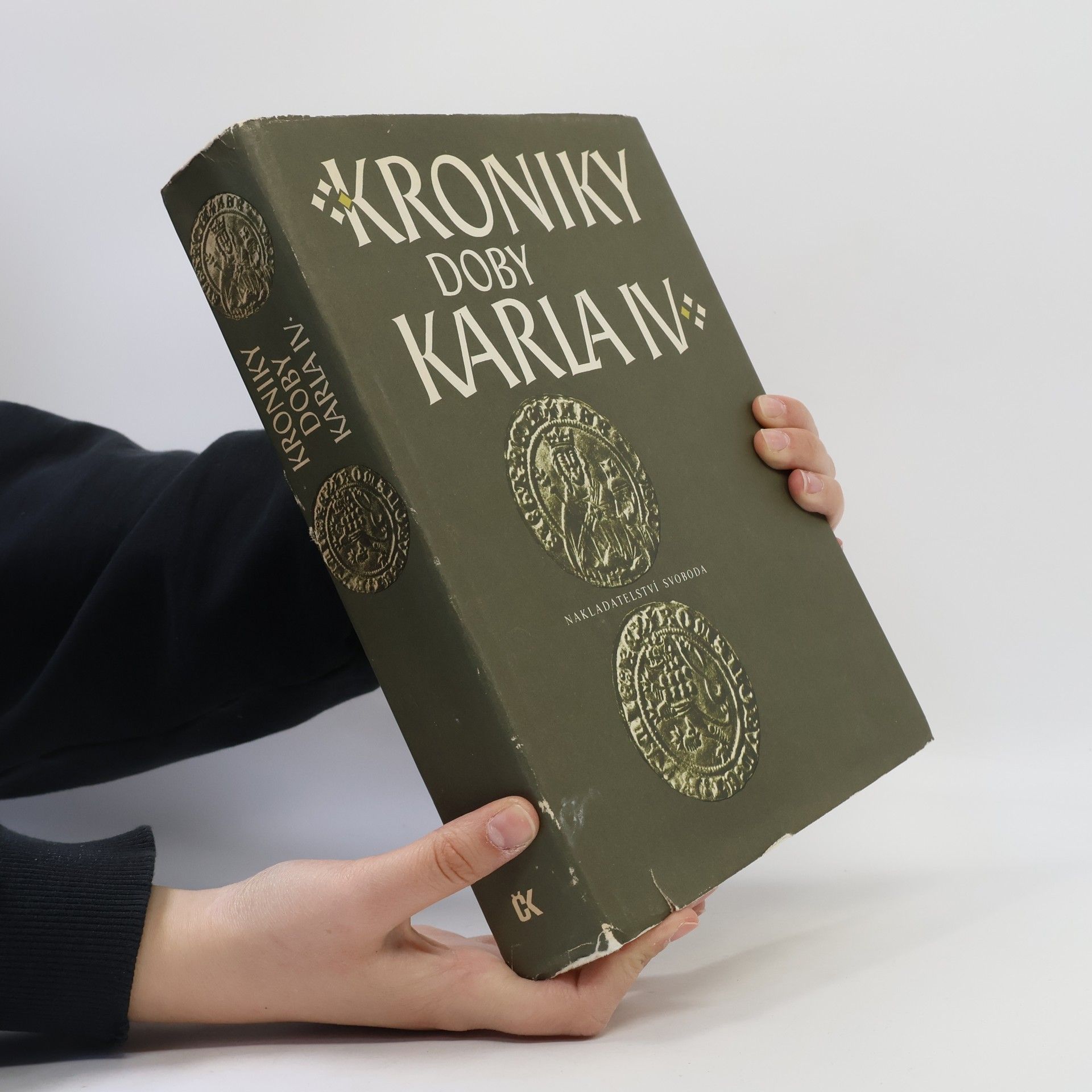Autorenkollektiv Kroniky doby Karla IV.
