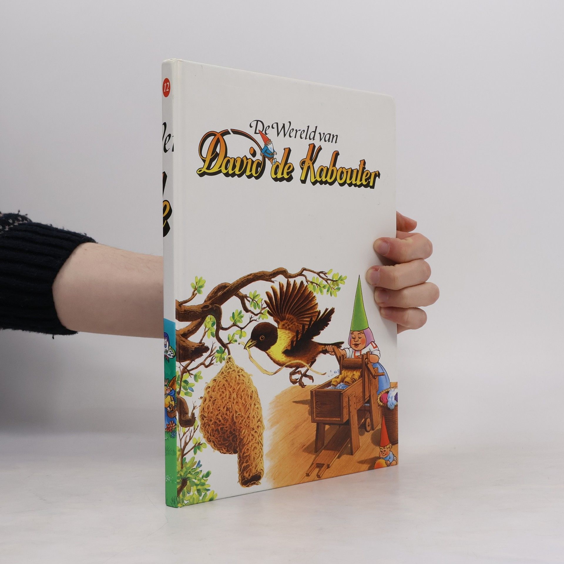 Auteurscollectief De Wereld van David de Kabouter 12
