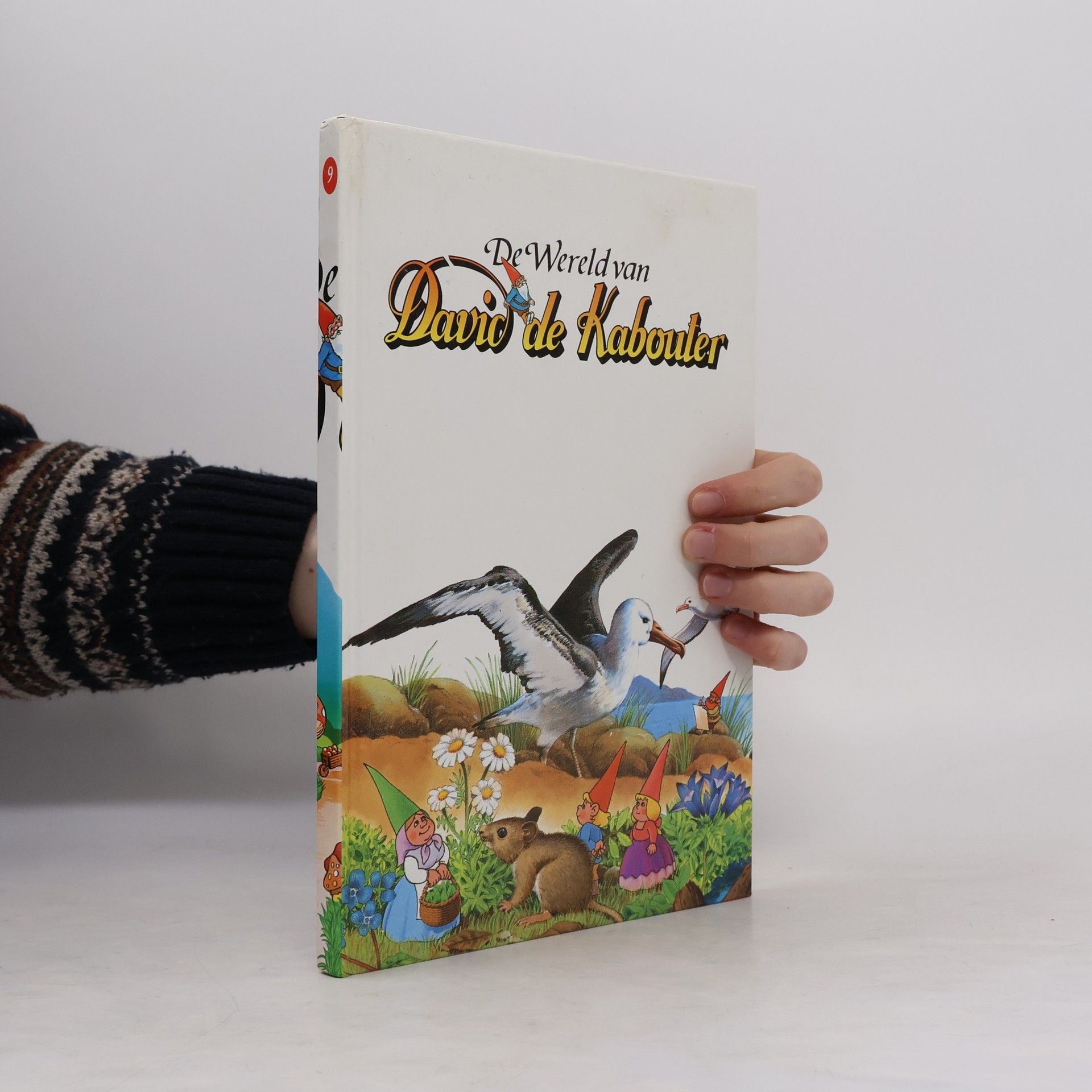 Auteurscollectief De Wereld van David de Kabouter 9
