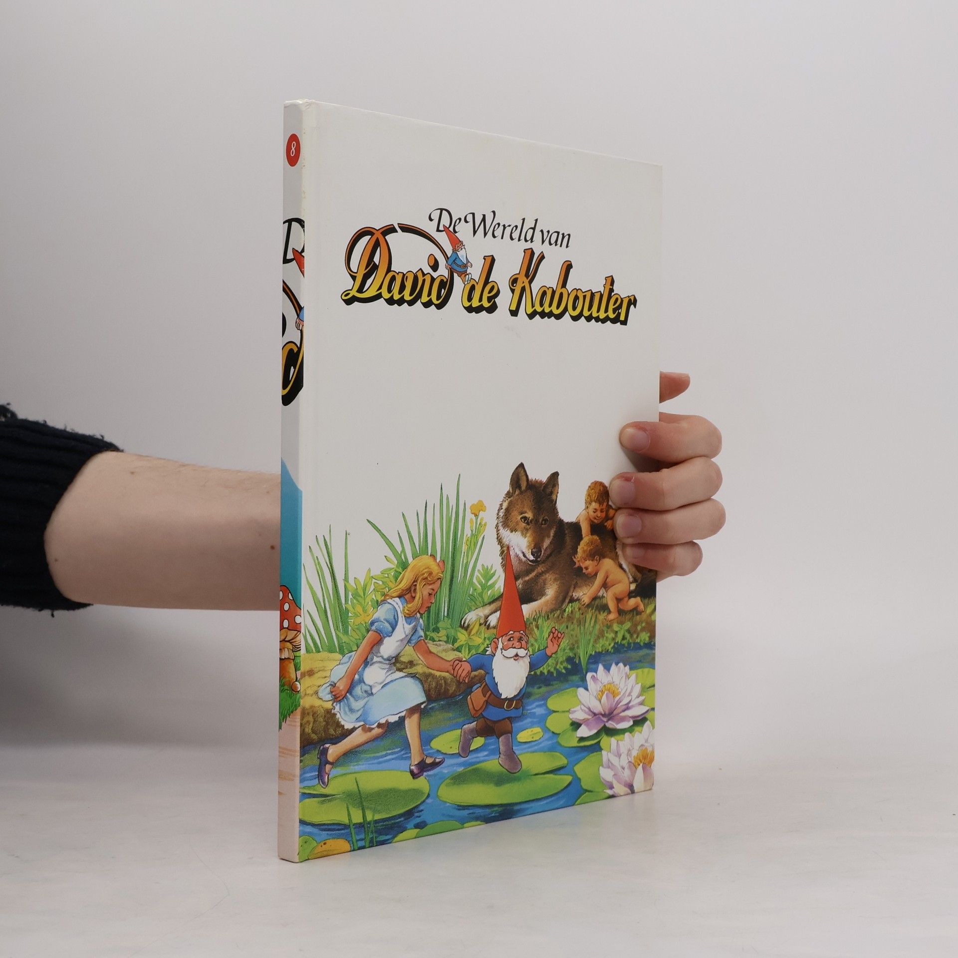 Auteurscollectief De Wereld van David de Kabouter 8